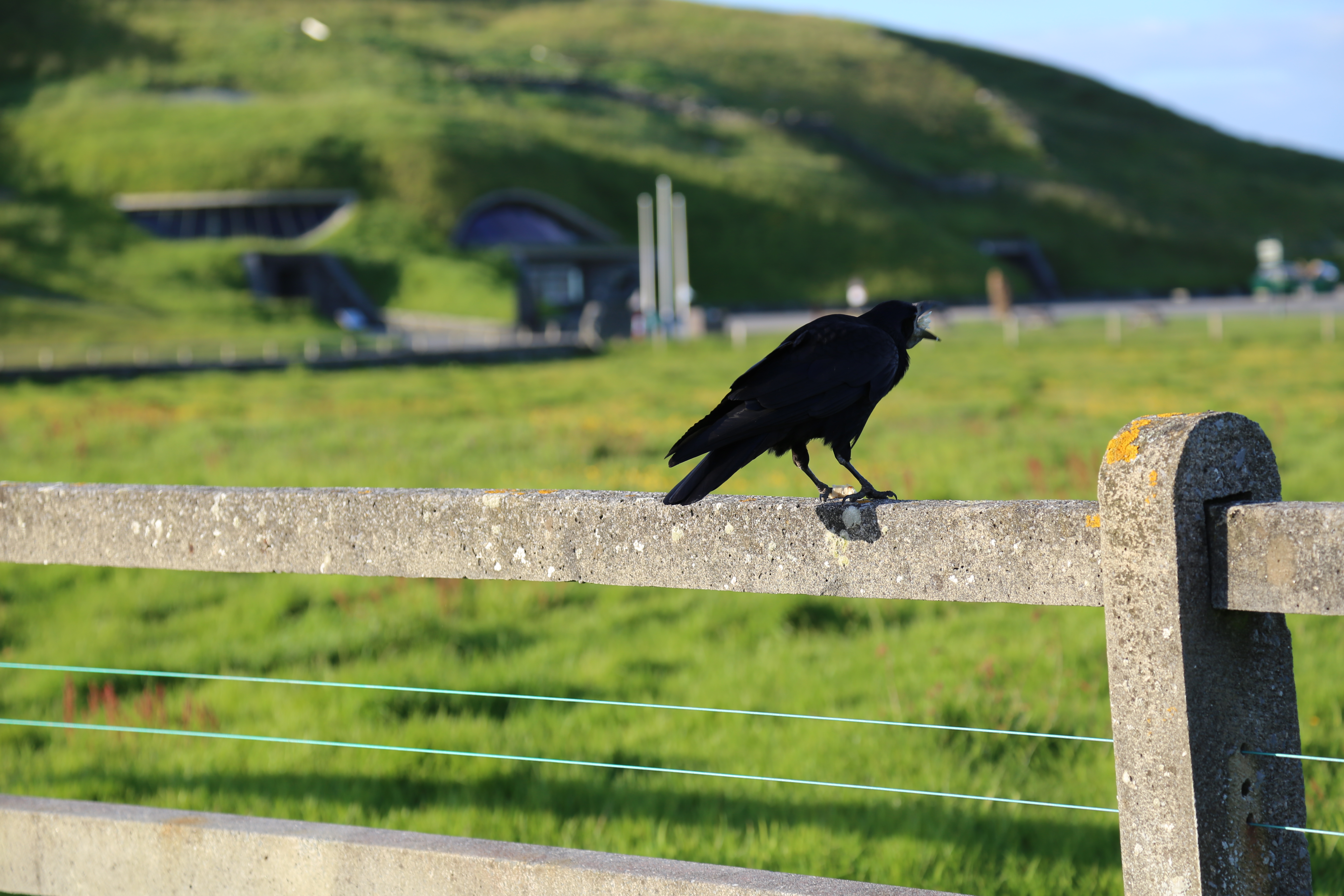 2014 Europe Trip Day 2 - Ireland (Shannon Airport, Bunratty Castle, Kenmare, Cliffs of Moher, Irish Stew, Live Irish Music)