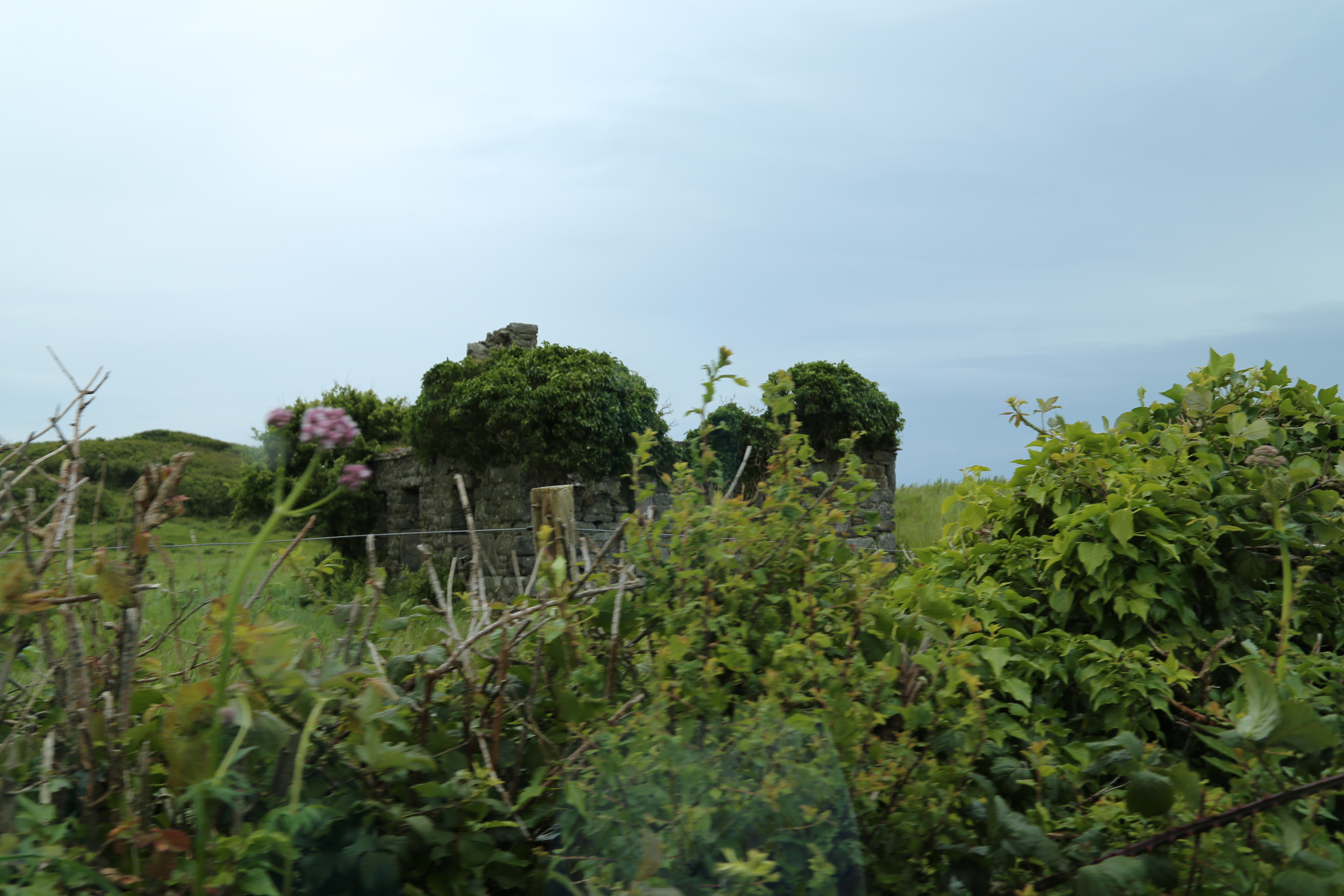 2014 Europe Trip Day 3 - Ireland (The Burren, Poulnabrone Portal Tomb Dolmen, Caherconnell Fort, Sheepdogs, Ring of Kerry, Killarney National Park, Muckross House, Torc Waterfall)