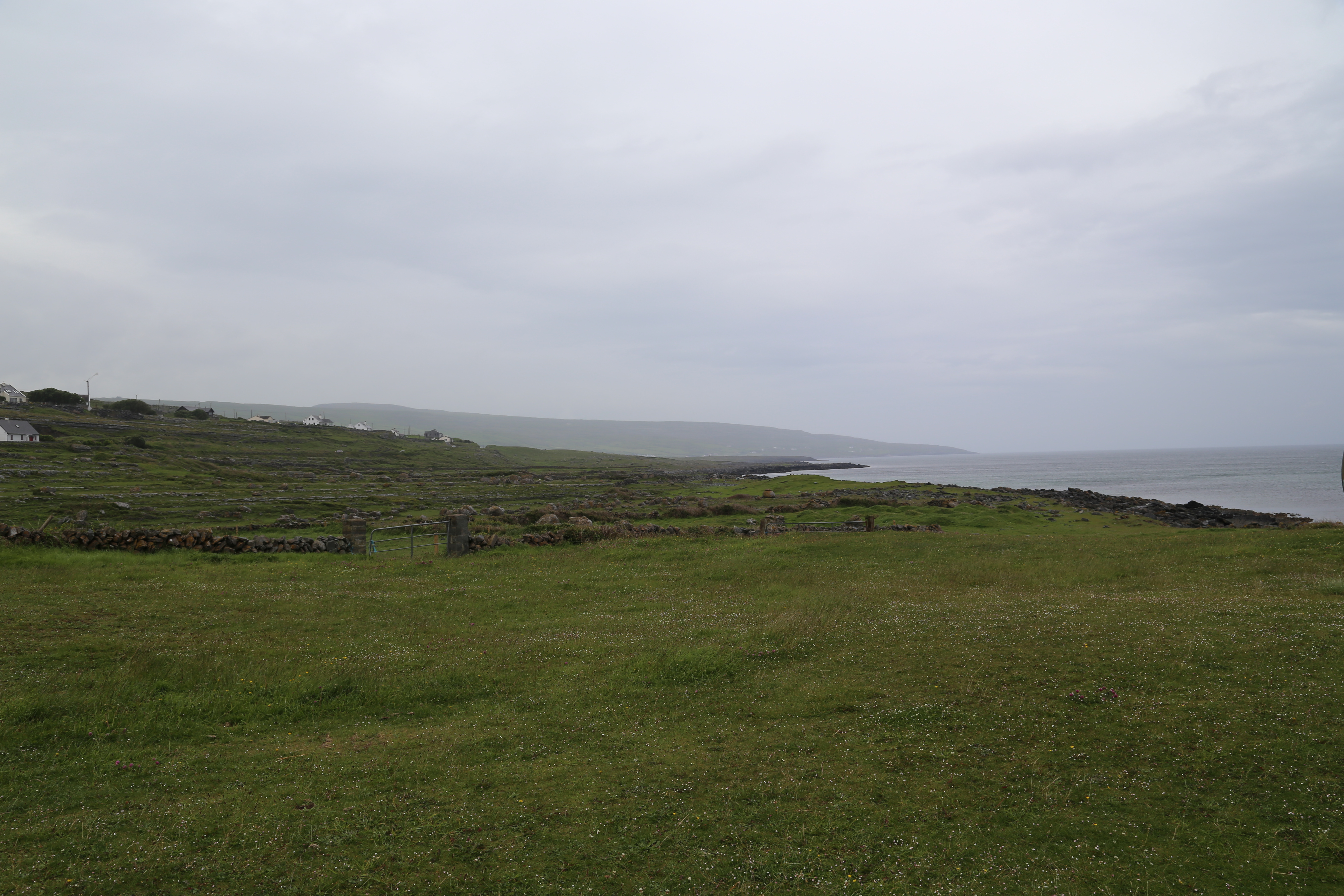 2014 Europe Trip Day 3 - Ireland (The Burren, Poulnabrone Portal Tomb Dolmen, Caherconnell Fort, Sheepdogs, Ring of Kerry, Killarney National Park, Muckross House, Torc Waterfall)