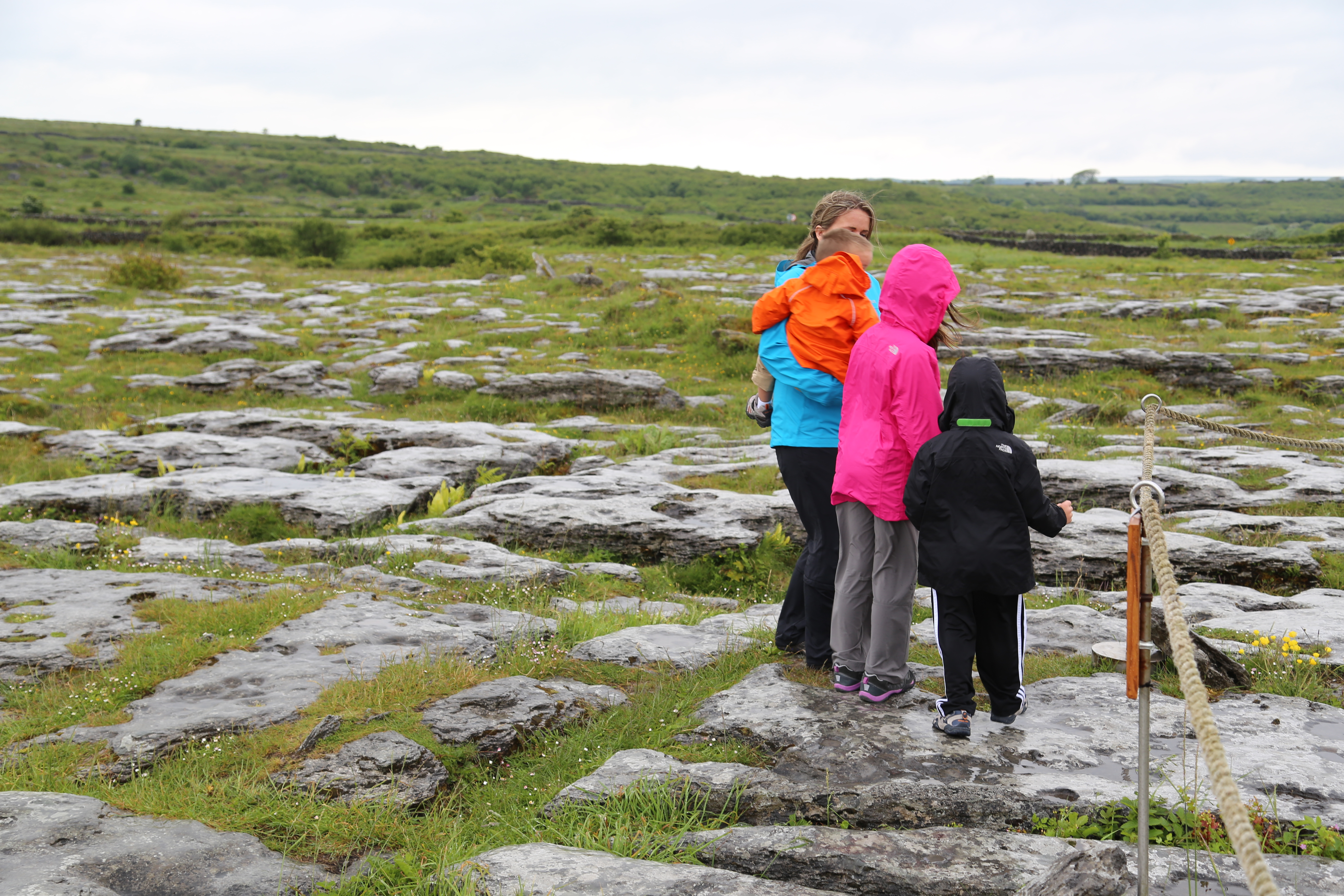 2014 Europe Trip Day 3 - Ireland (The Burren, Poulnabrone Portal Tomb Dolmen, Caherconnell Fort, Sheepdogs, Ring of Kerry, Killarney National Park, Muckross House, Torc Waterfall)
