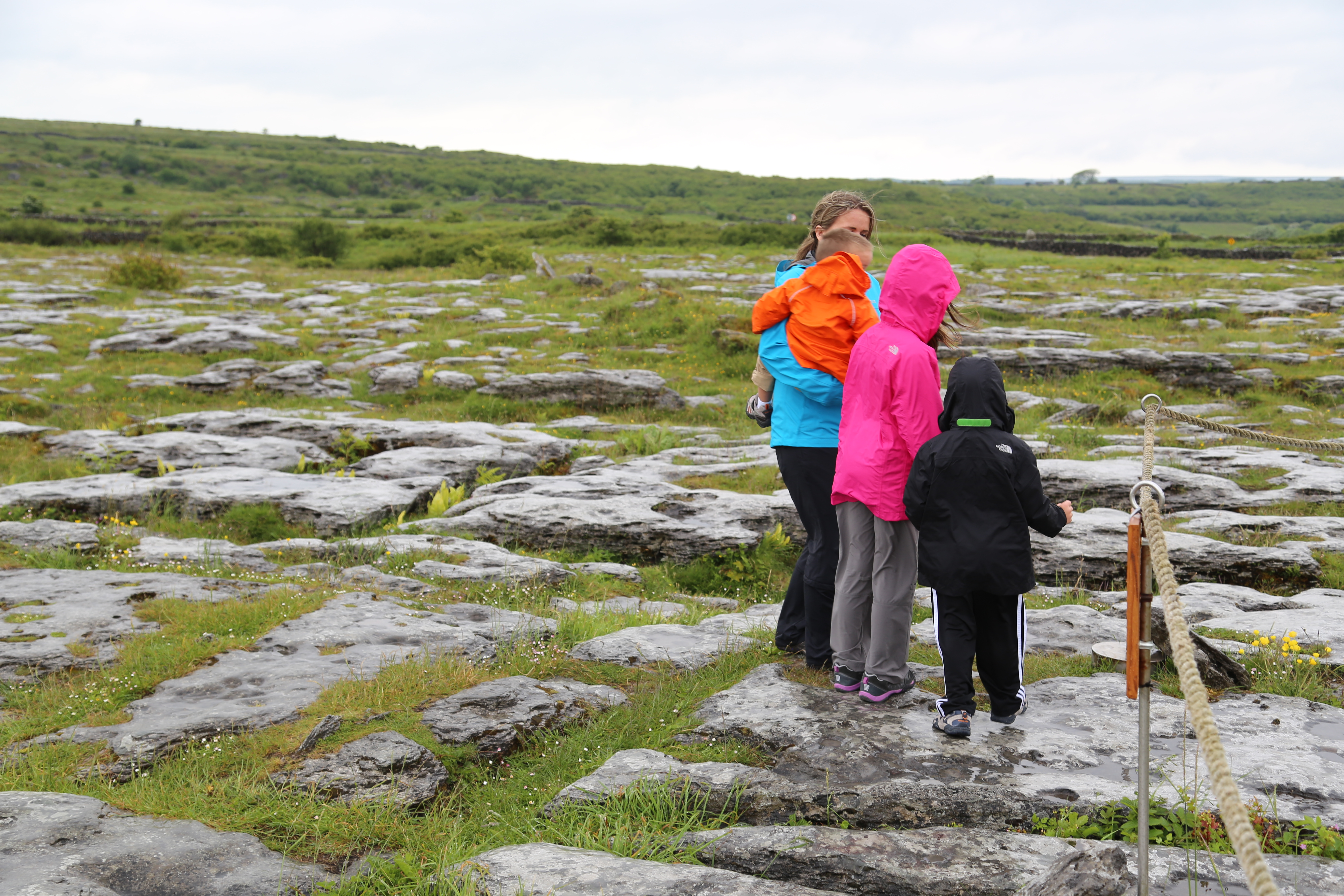 2014 Europe Trip Day 3 - Ireland (The Burren, Poulnabrone Portal Tomb Dolmen, Caherconnell Fort, Sheepdogs, Ring of Kerry, Killarney National Park, Muckross House, Torc Waterfall)