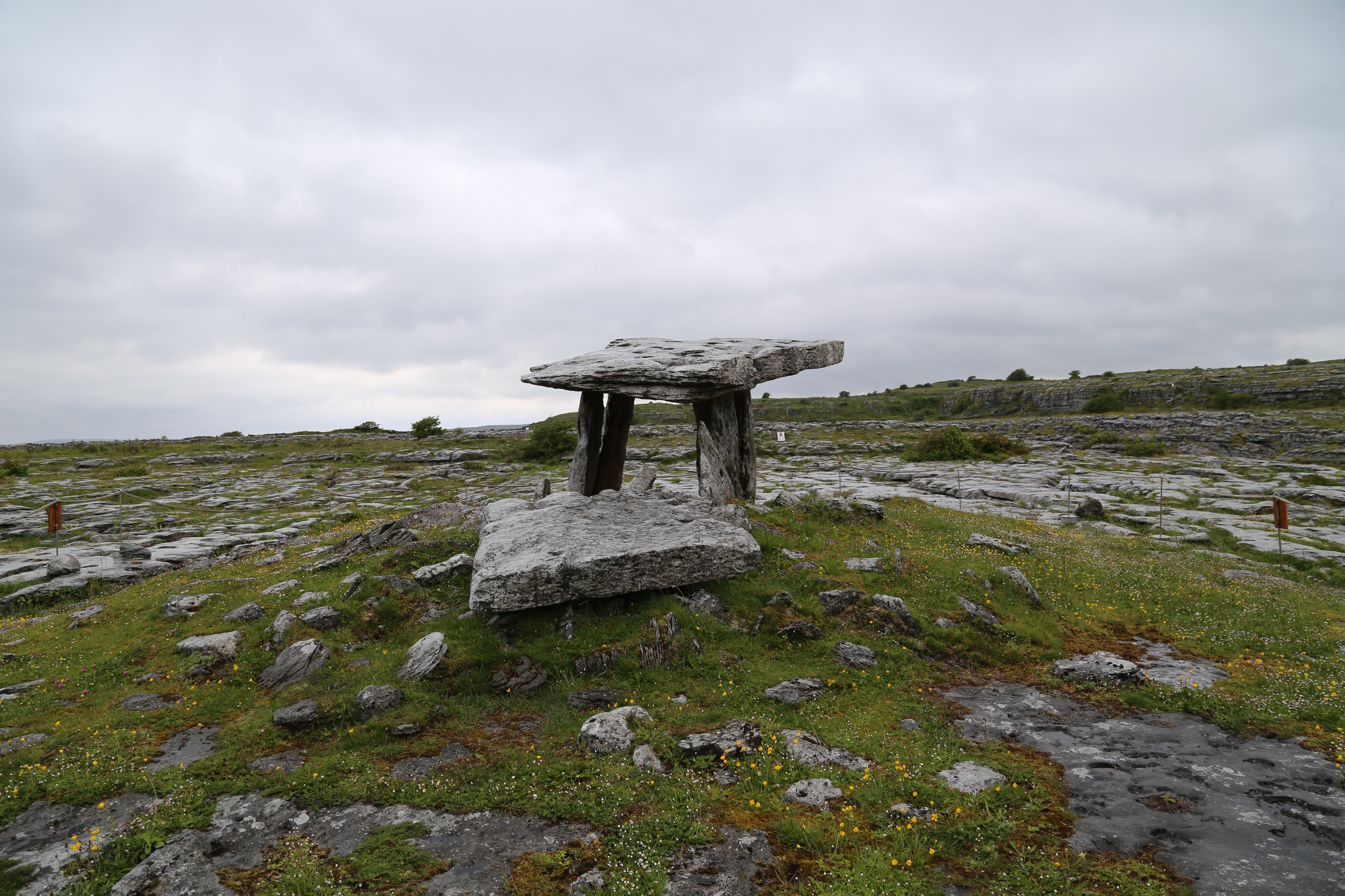 2014 Europe Trip Day 3 - Ireland (The Burren, Poulnabrone Portal Tomb Dolmen, Caherconnell Fort, Sheepdogs, Ring of Kerry, Killarney National Park, Muckross House, Torc Waterfall)