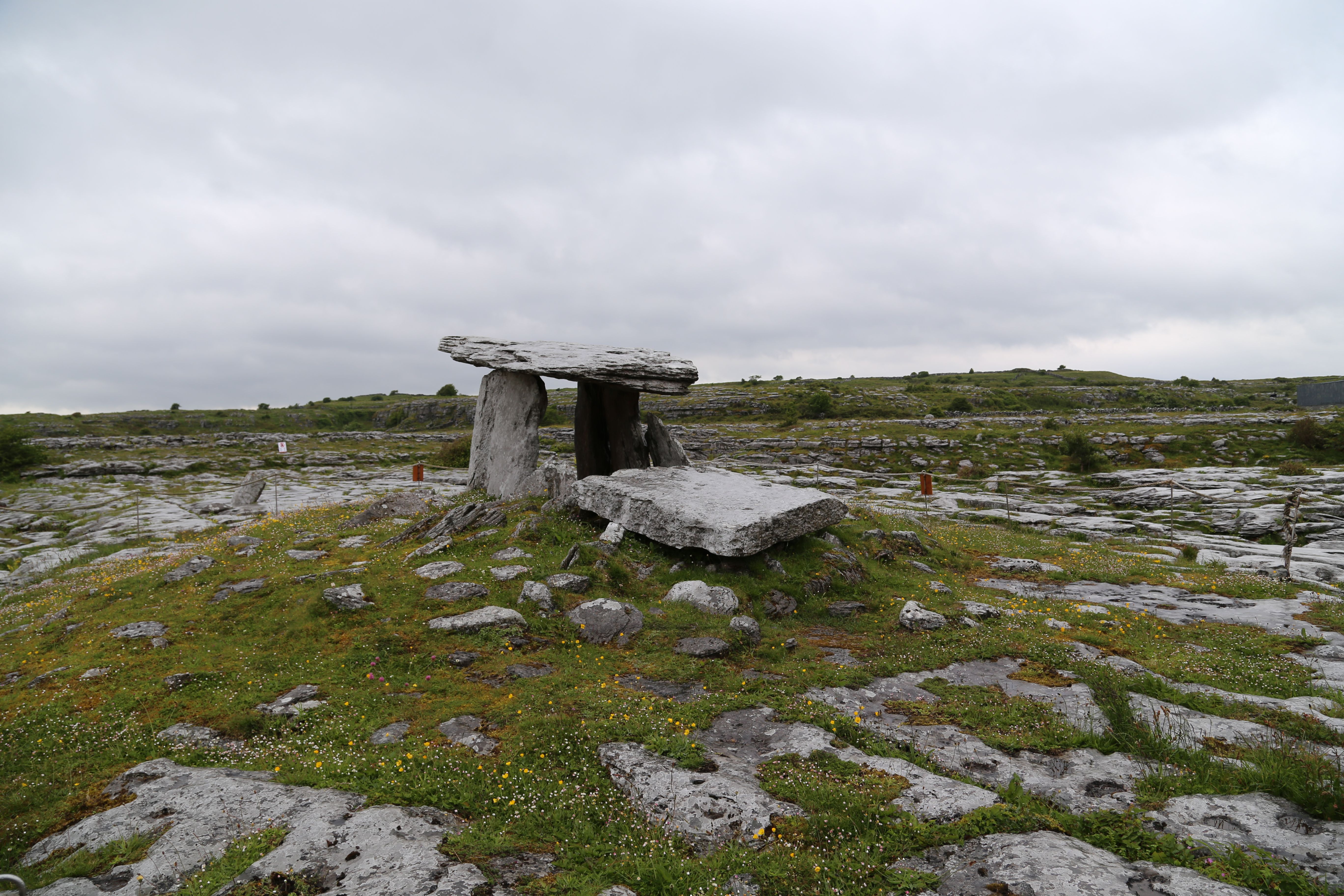 2014 Europe Trip Day 3 - Ireland (The Burren, Poulnabrone Portal Tomb Dolmen, Caherconnell Fort, Sheepdogs, Ring of Kerry, Killarney National Park, Muckross House, Torc Waterfall)