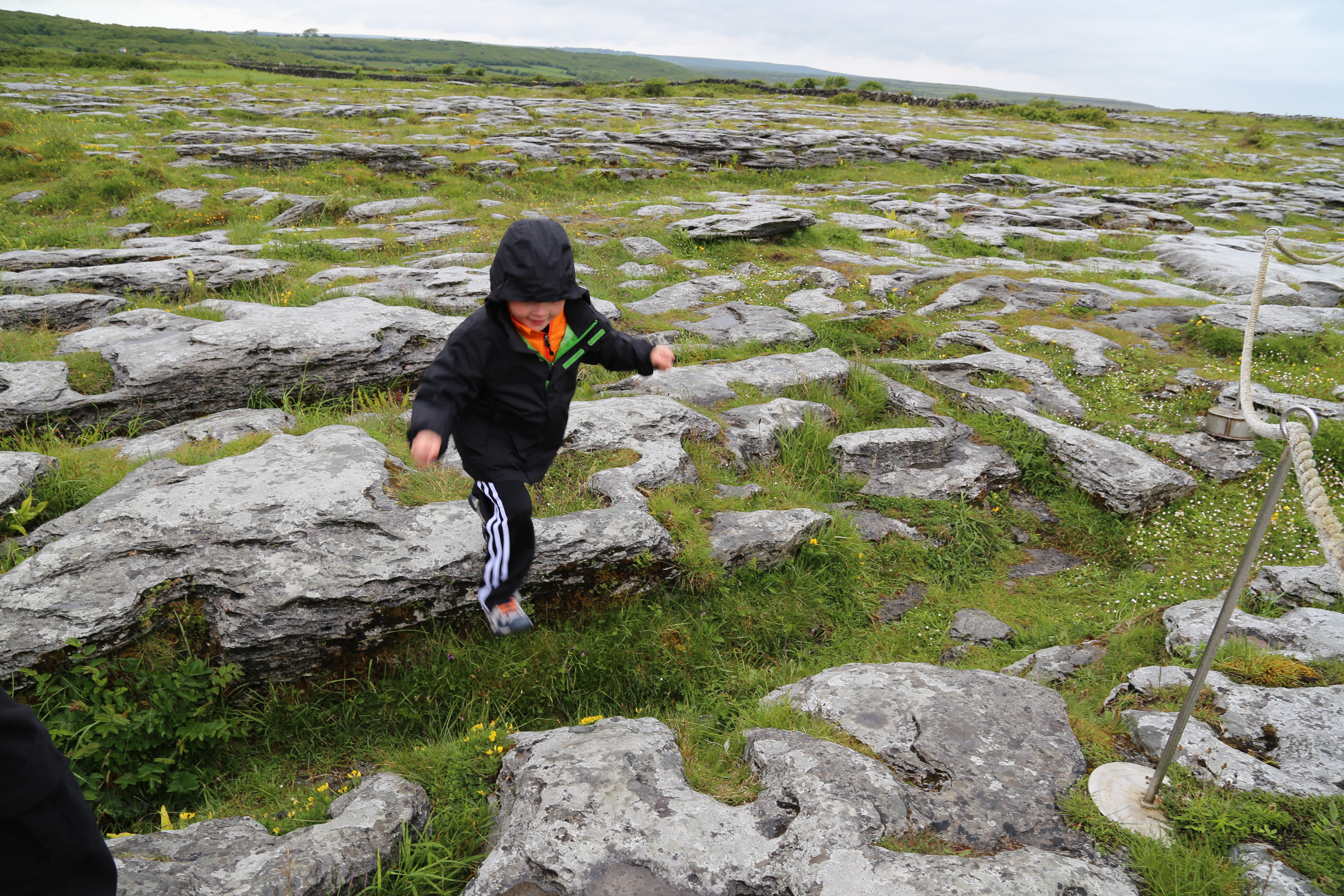 2014 Europe Trip Day 3 - Ireland (The Burren, Poulnabrone Portal Tomb Dolmen, Caherconnell Fort, Sheepdogs, Ring of Kerry, Killarney National Park, Muckross House, Torc Waterfall)