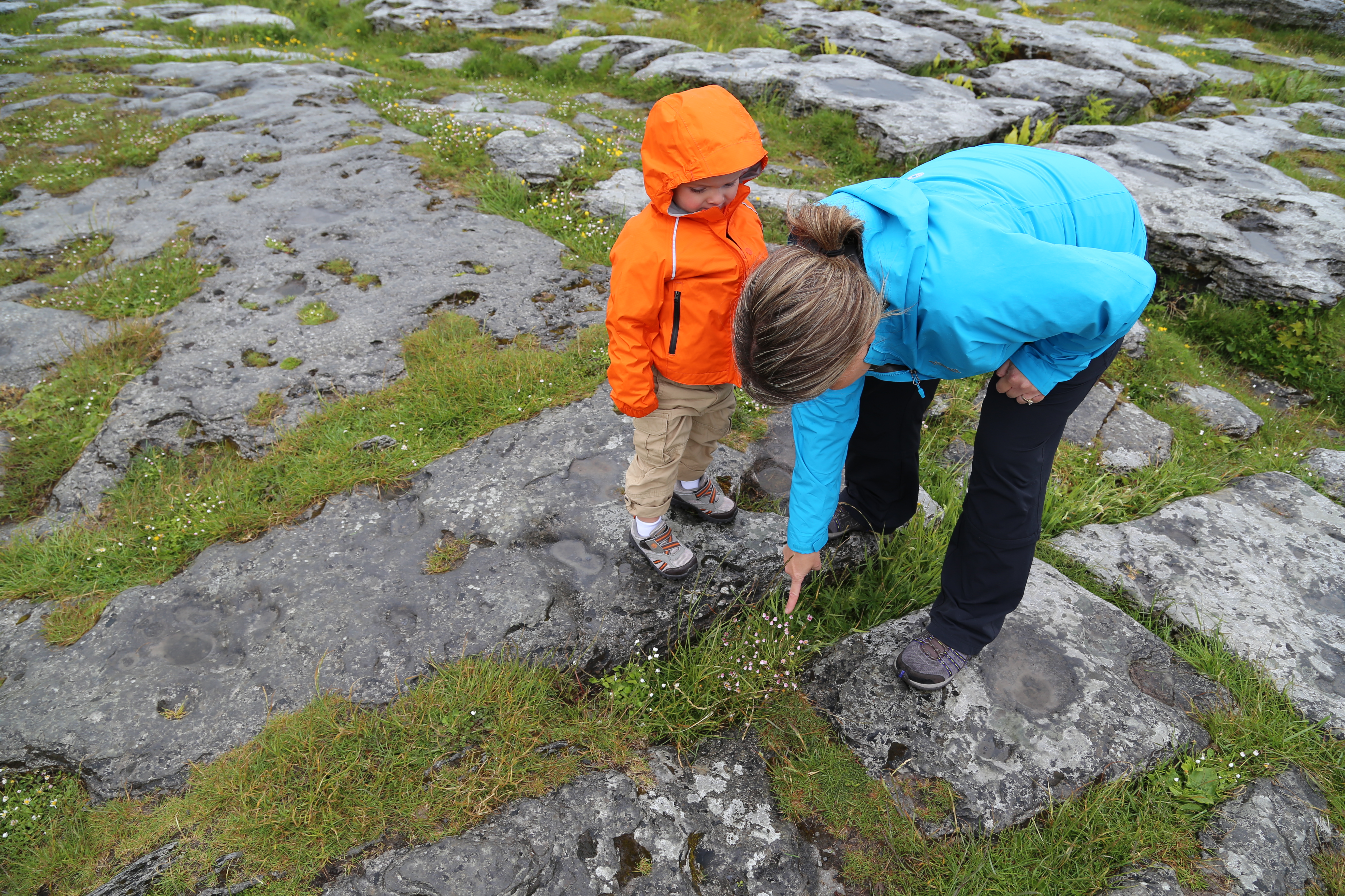 2014 Europe Trip Day 3 - Ireland (The Burren, Poulnabrone Portal Tomb Dolmen, Caherconnell Fort, Sheepdogs, Ring of Kerry, Killarney National Park, Muckross House, Torc Waterfall)