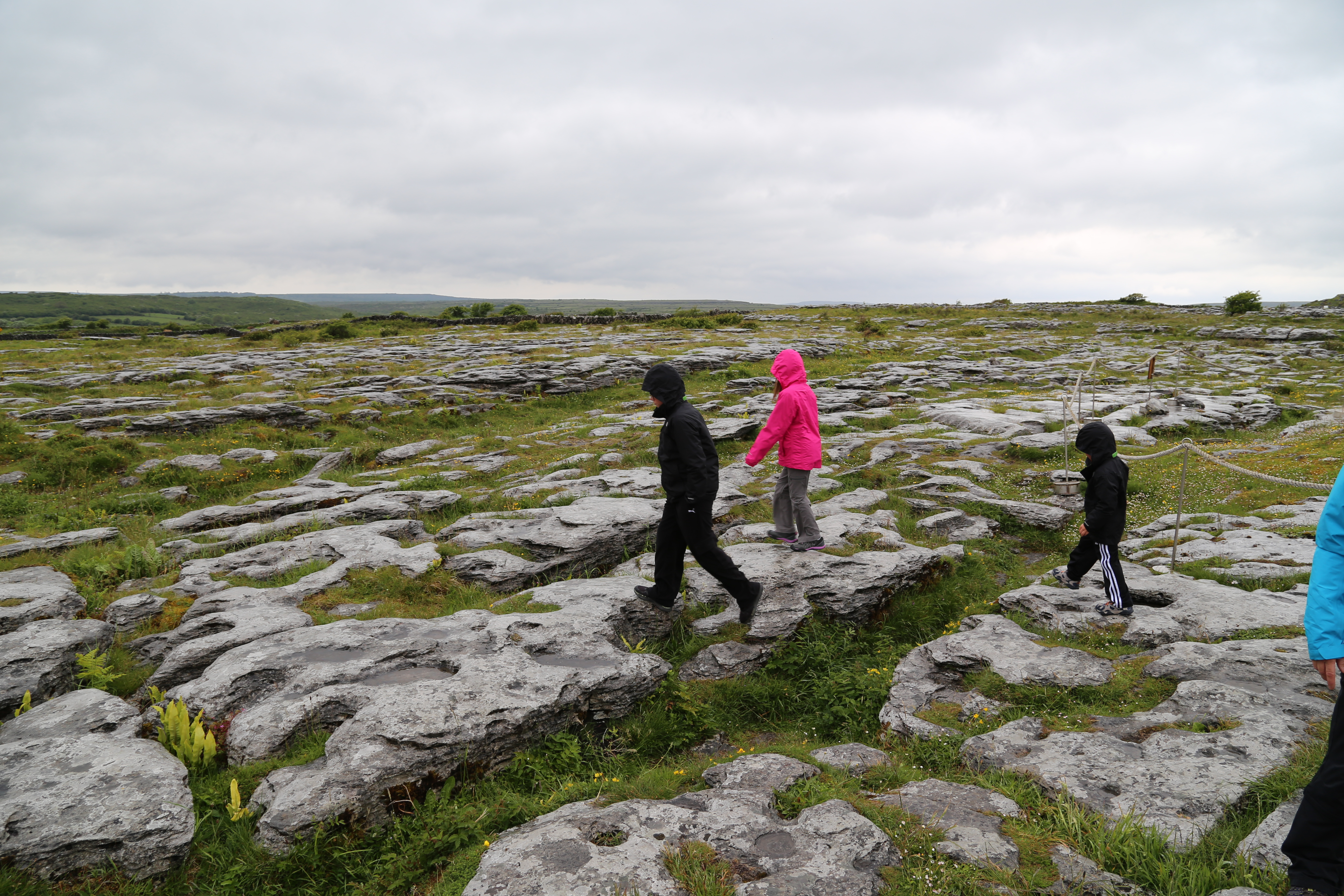 2014 Europe Trip Day 3 - Ireland (The Burren, Poulnabrone Portal Tomb Dolmen, Caherconnell Fort, Sheepdogs, Ring of Kerry, Killarney National Park, Muckross House, Torc Waterfall)