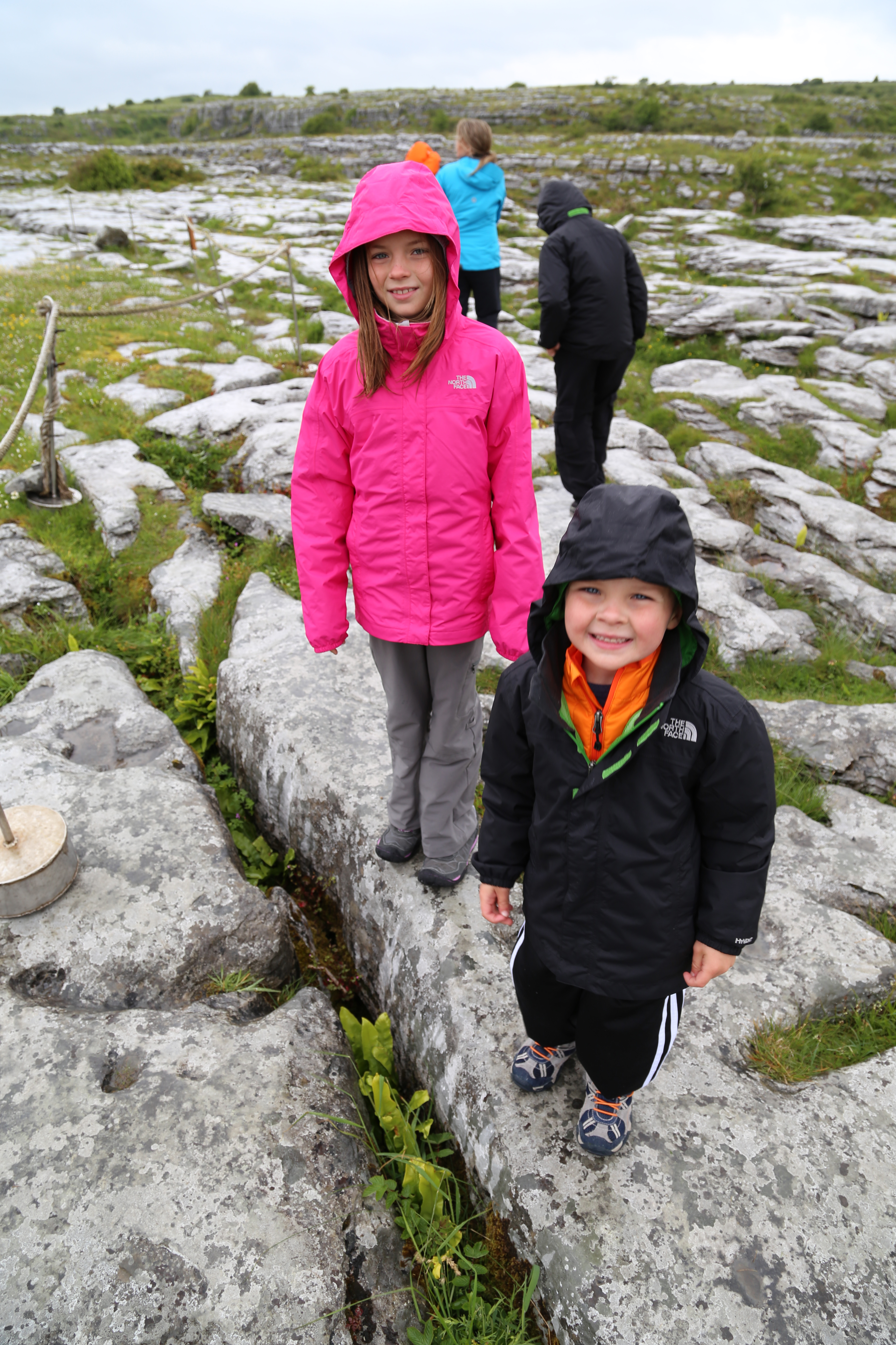 2014 Europe Trip Day 3 - Ireland (The Burren, Poulnabrone Portal Tomb Dolmen, Caherconnell Fort, Sheepdogs, Ring of Kerry, Killarney National Park, Muckross House, Torc Waterfall)