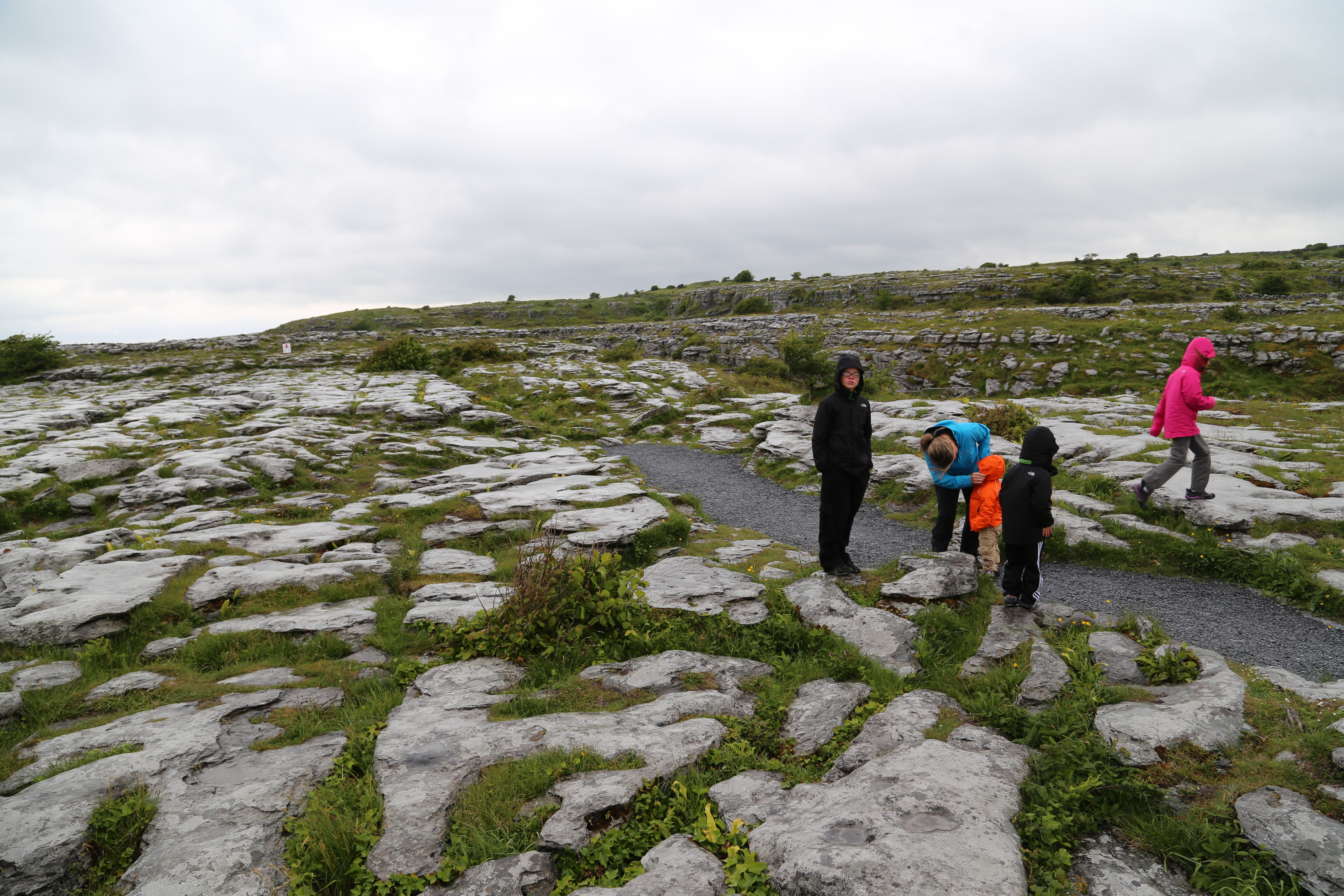 2014 Europe Trip Day 3 - Ireland (The Burren, Poulnabrone Portal Tomb Dolmen, Caherconnell Fort, Sheepdogs, Ring of Kerry, Killarney National Park, Muckross House, Torc Waterfall)