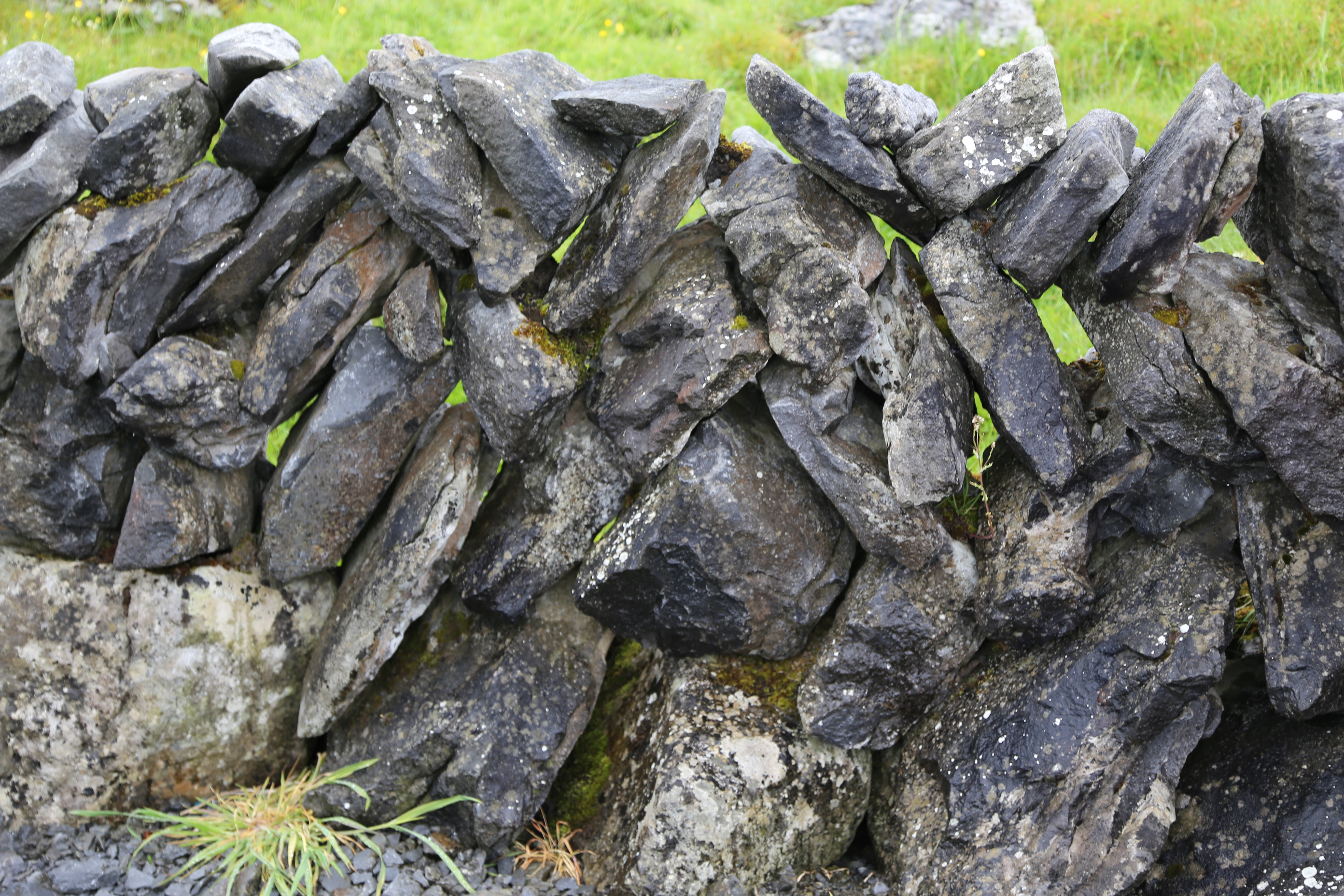 2014 Europe Trip Day 3 - Ireland (The Burren, Poulnabrone Portal Tomb Dolmen, Caherconnell Fort, Sheepdogs, Ring of Kerry, Killarney National Park, Muckross House, Torc Waterfall)