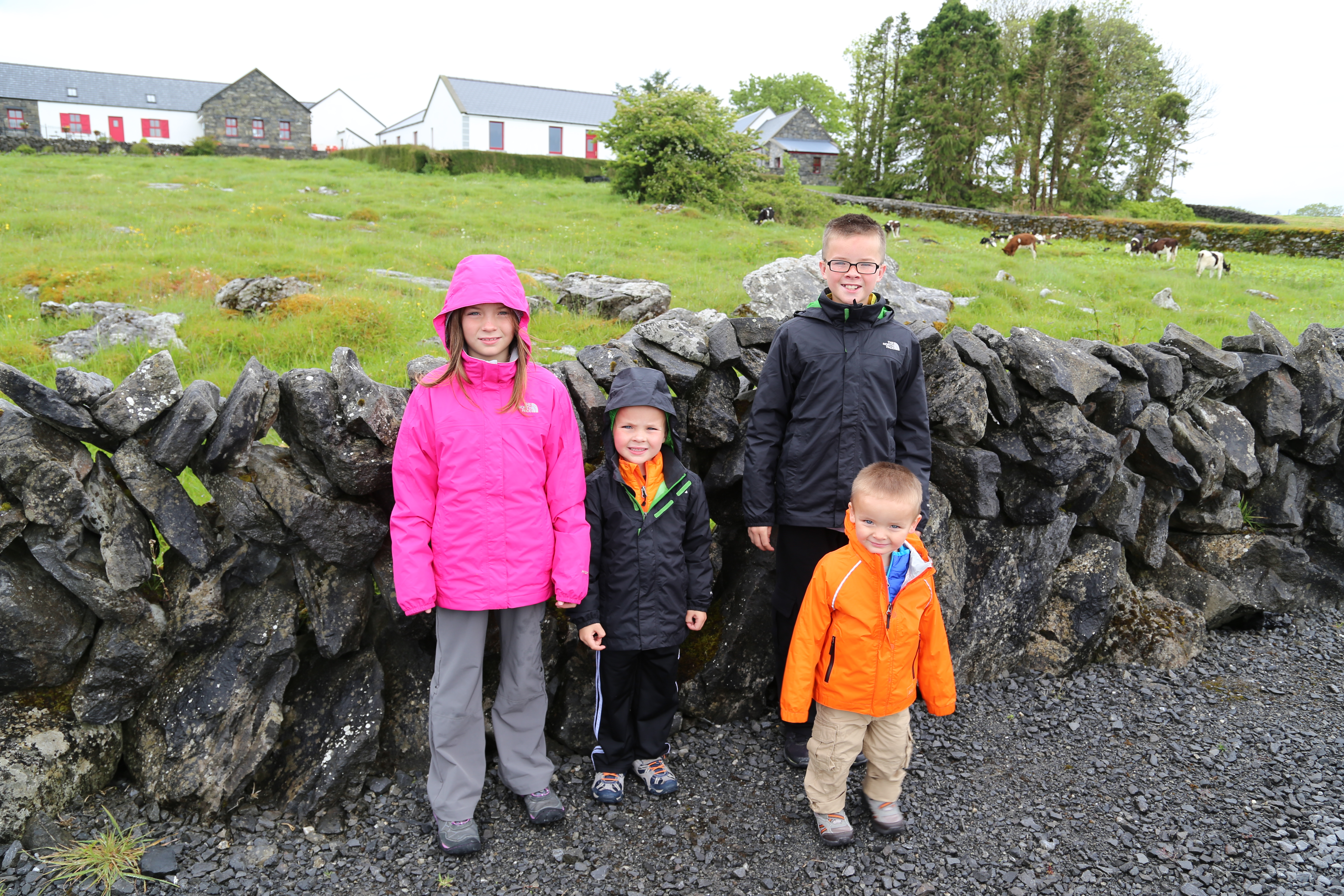 2014 Europe Trip Day 3 - Ireland (The Burren, Poulnabrone Portal Tomb Dolmen, Caherconnell Fort, Sheepdogs, Ring of Kerry, Killarney National Park, Muckross House, Torc Waterfall)