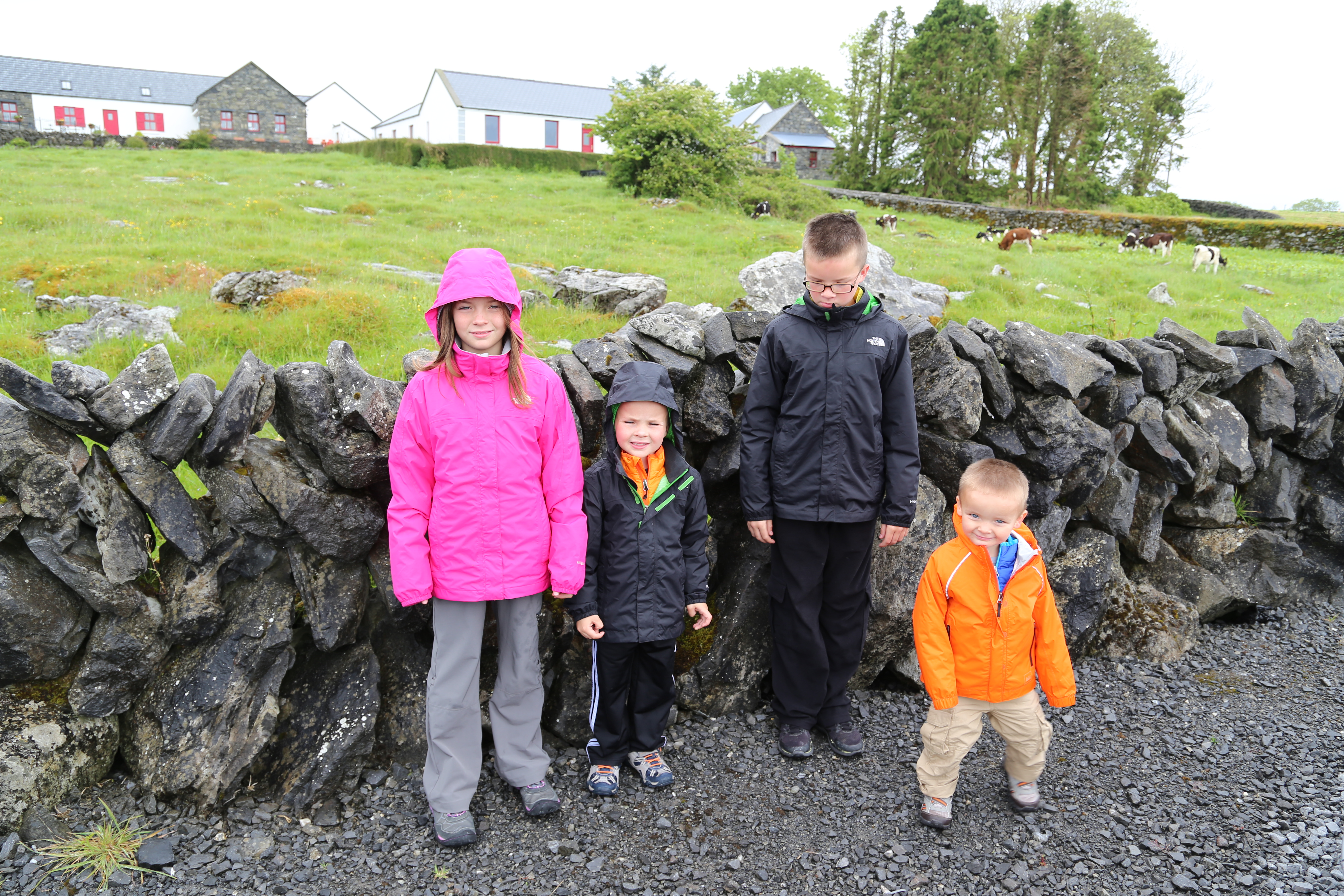 2014 Europe Trip Day 3 - Ireland (The Burren, Poulnabrone Portal Tomb Dolmen, Caherconnell Fort, Sheepdogs, Ring of Kerry, Killarney National Park, Muckross House, Torc Waterfall)