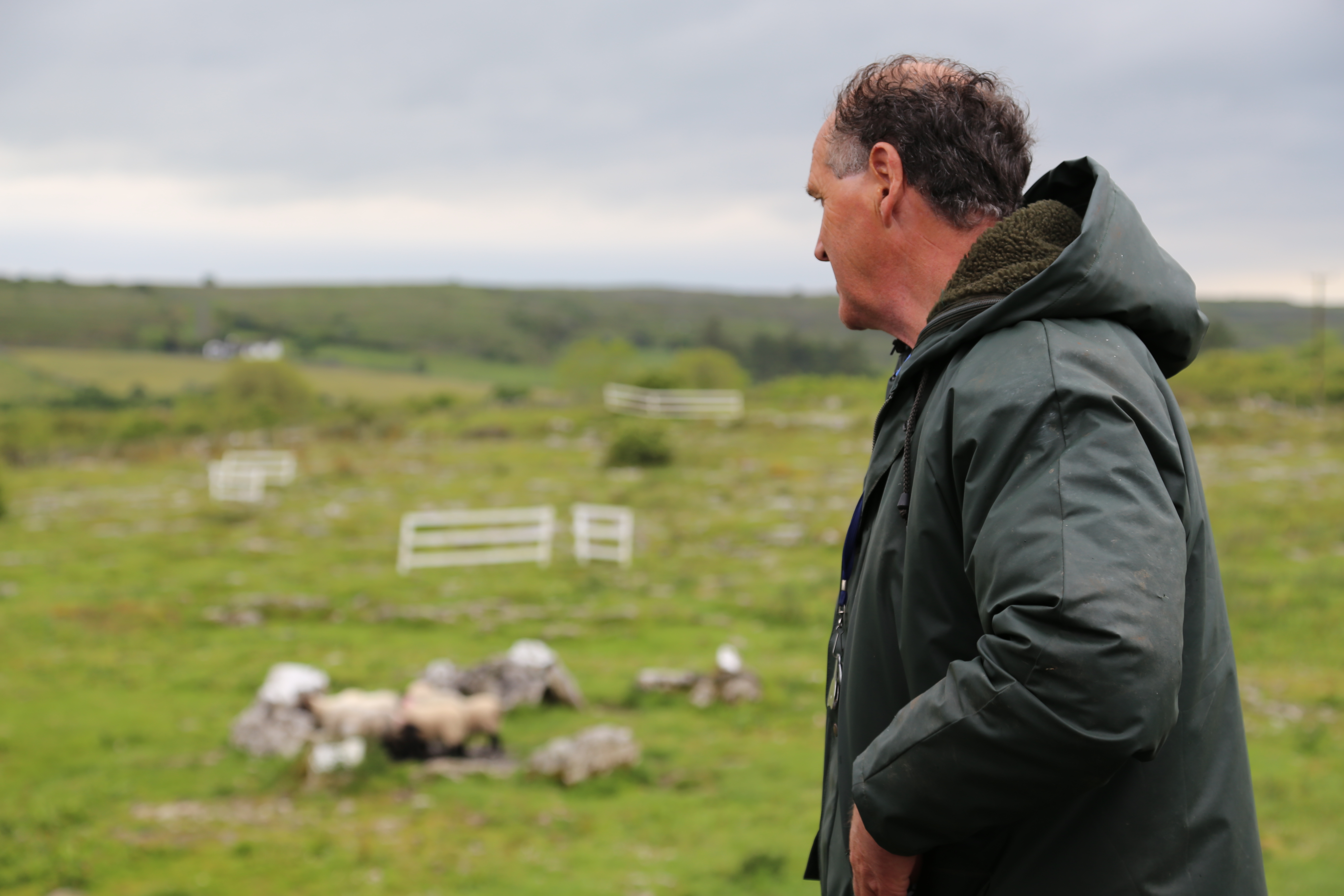 2014 Europe Trip Day 3 - Ireland (The Burren, Poulnabrone Portal Tomb Dolmen, Caherconnell Fort, Sheepdogs, Ring of Kerry, Killarney National Park, Muckross House, Torc Waterfall)