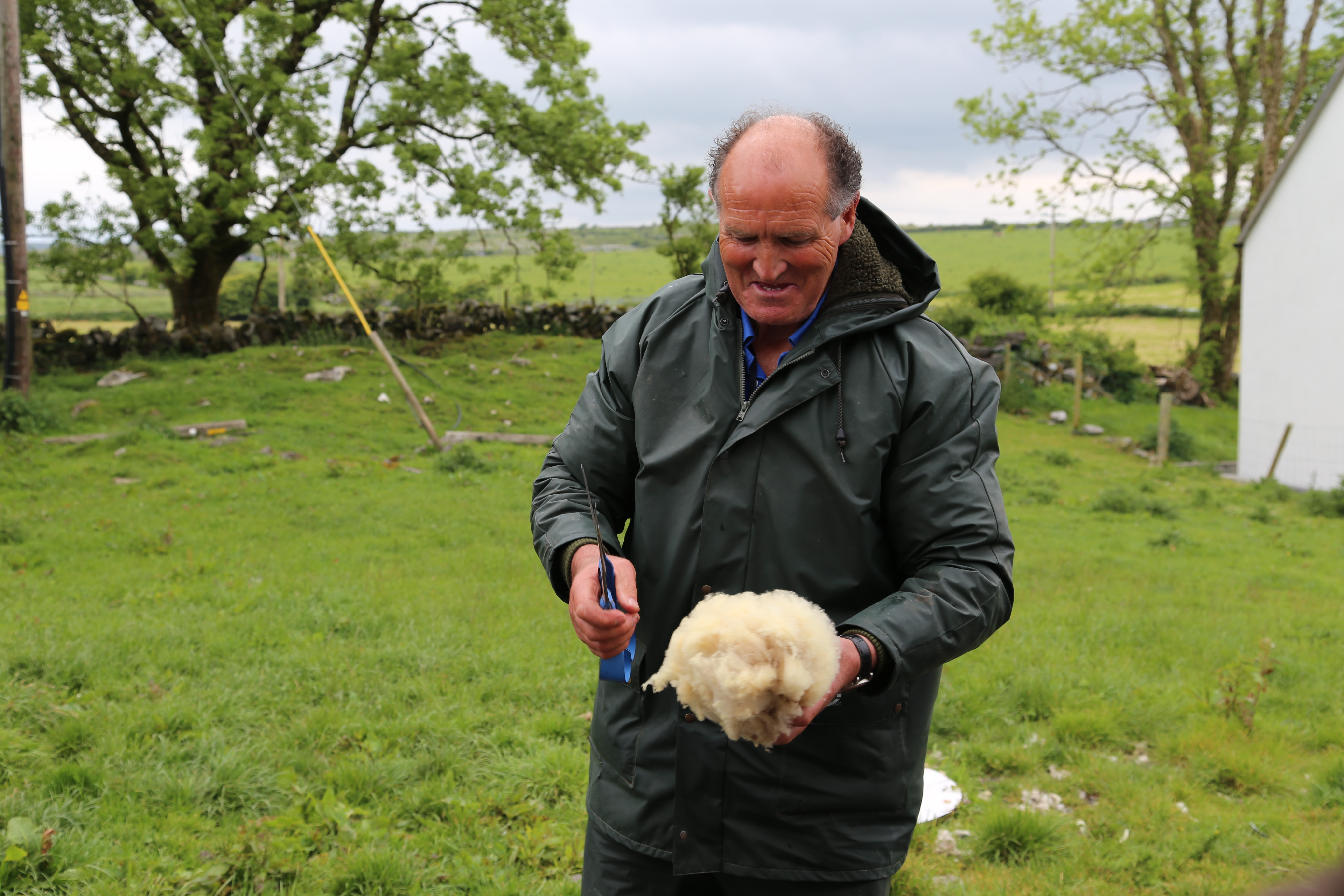 2014 Europe Trip Day 3 - Ireland (The Burren, Poulnabrone Portal Tomb Dolmen, Caherconnell Fort, Sheepdogs, Ring of Kerry, Killarney National Park, Muckross House, Torc Waterfall)