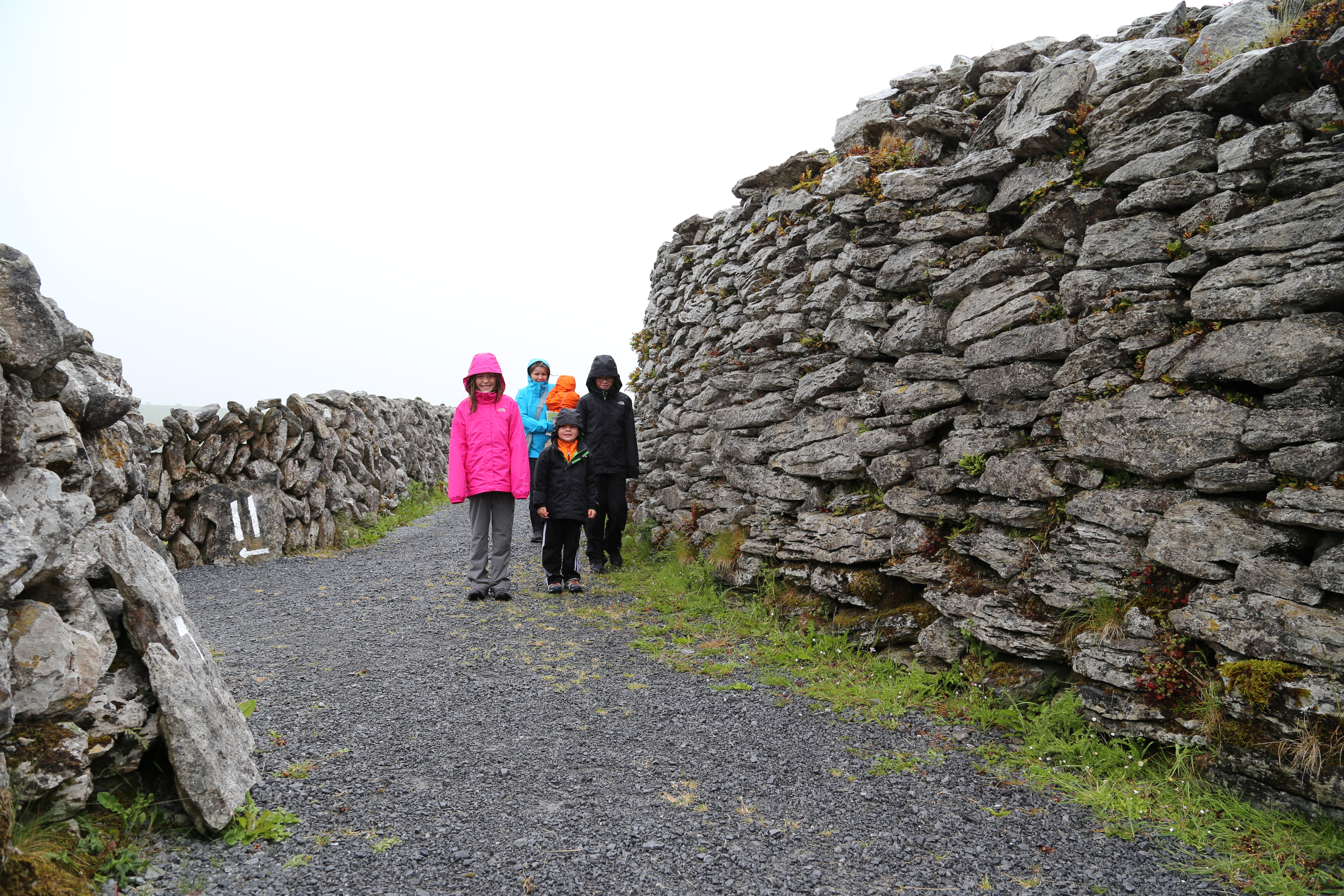 2014 Europe Trip Day 3 - Ireland (The Burren, Poulnabrone Portal Tomb Dolmen, Caherconnell Fort, Sheepdogs, Ring of Kerry, Killarney National Park, Muckross House, Torc Waterfall)