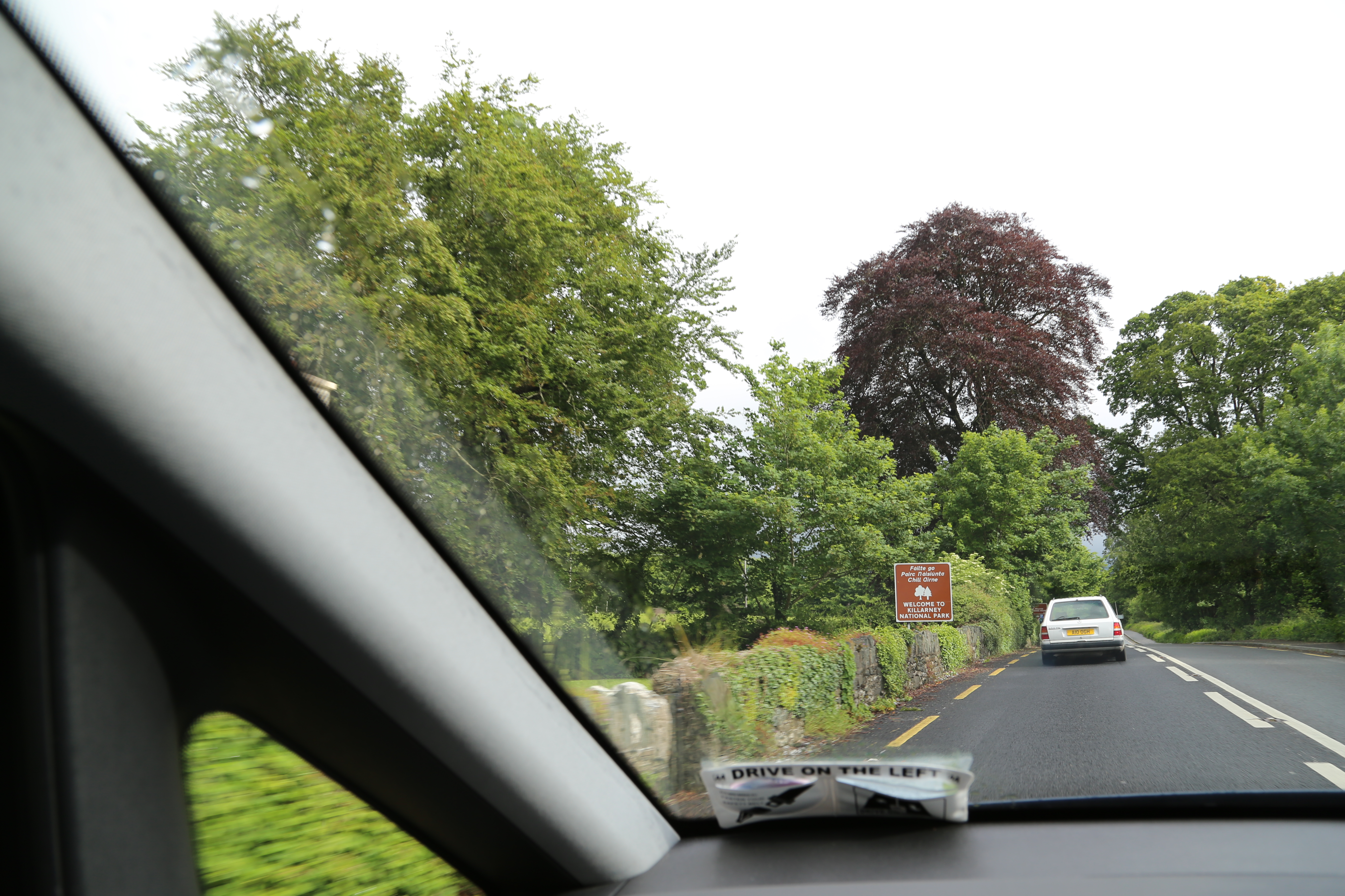 2014 Europe Trip Day 3 - Ireland (The Burren, Poulnabrone Portal Tomb Dolmen, Caherconnell Fort, Sheepdogs, Ring of Kerry, Killarney National Park, Muckross House, Torc Waterfall)