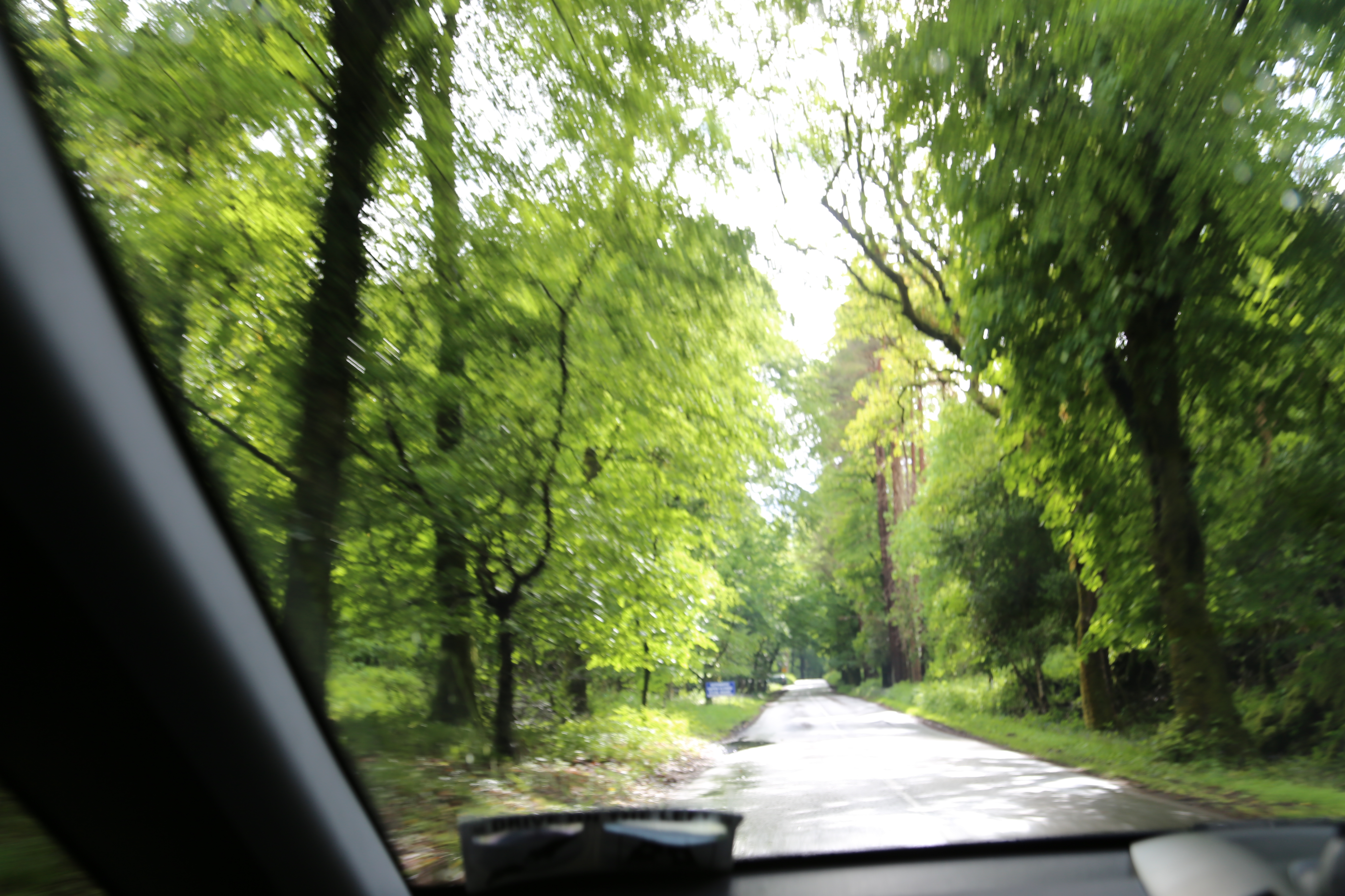 2014 Europe Trip Day 3 - Ireland (The Burren, Poulnabrone Portal Tomb Dolmen, Caherconnell Fort, Sheepdogs, Ring of Kerry, Killarney National Park, Muckross House, Torc Waterfall)