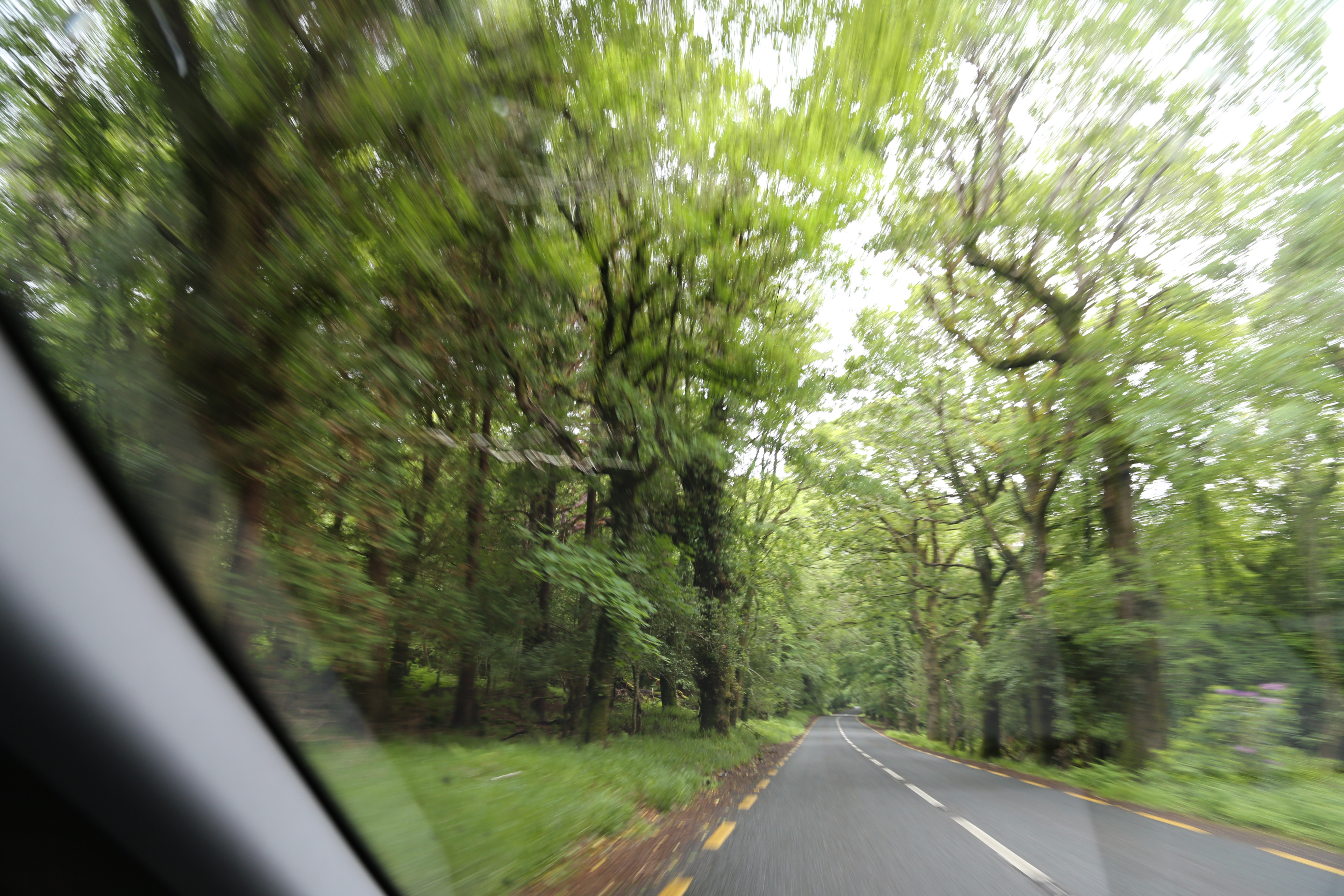 2014 Europe Trip Day 3 - Ireland (The Burren, Poulnabrone Portal Tomb Dolmen, Caherconnell Fort, Sheepdogs, Ring of Kerry, Killarney National Park, Muckross House, Torc Waterfall)