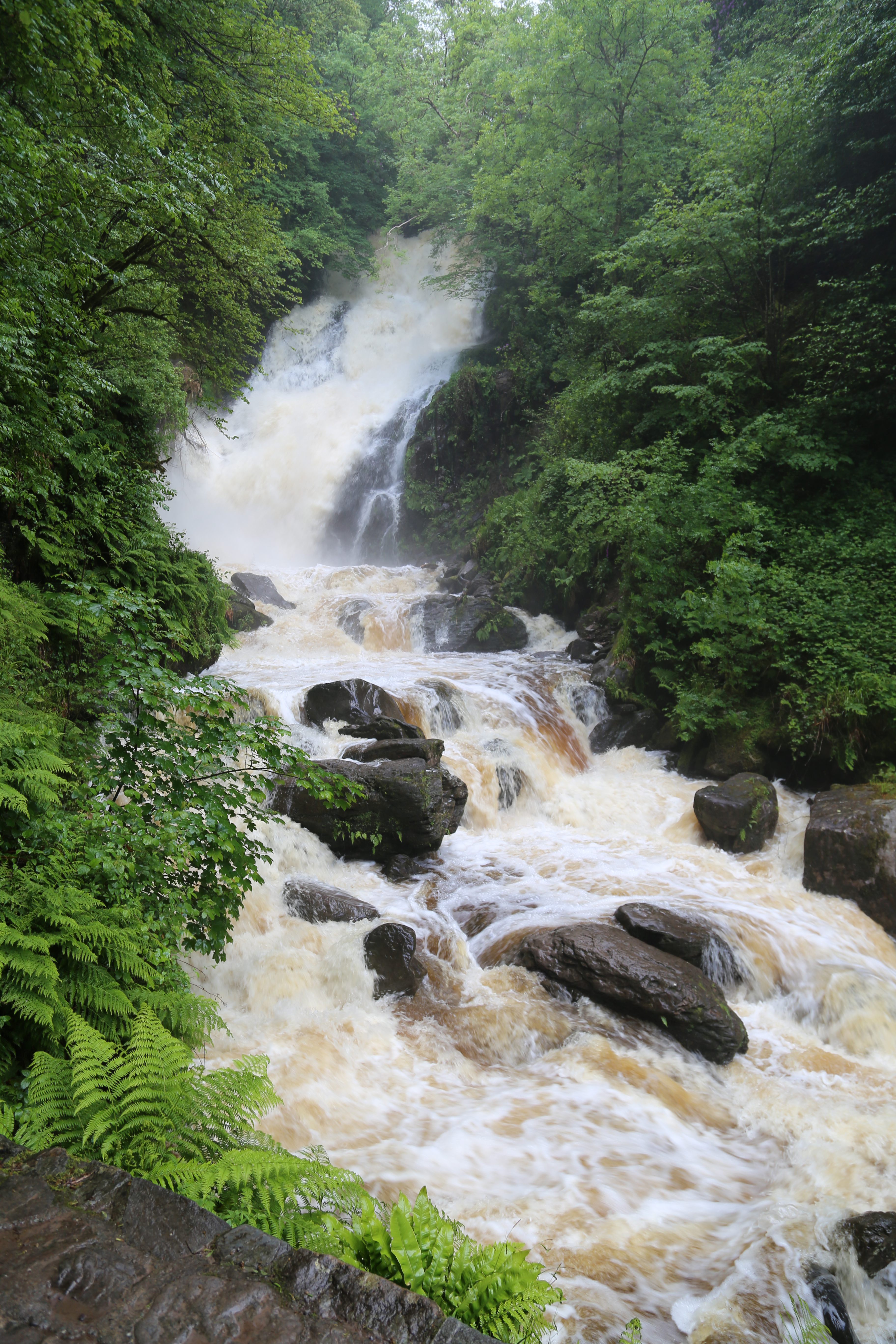 2014 Europe Trip Day 3 - Ireland (The Burren, Poulnabrone Portal Tomb Dolmen, Caherconnell Fort, Sheepdogs, Ring of Kerry, Killarney National Park, Muckross House, Torc Waterfall)