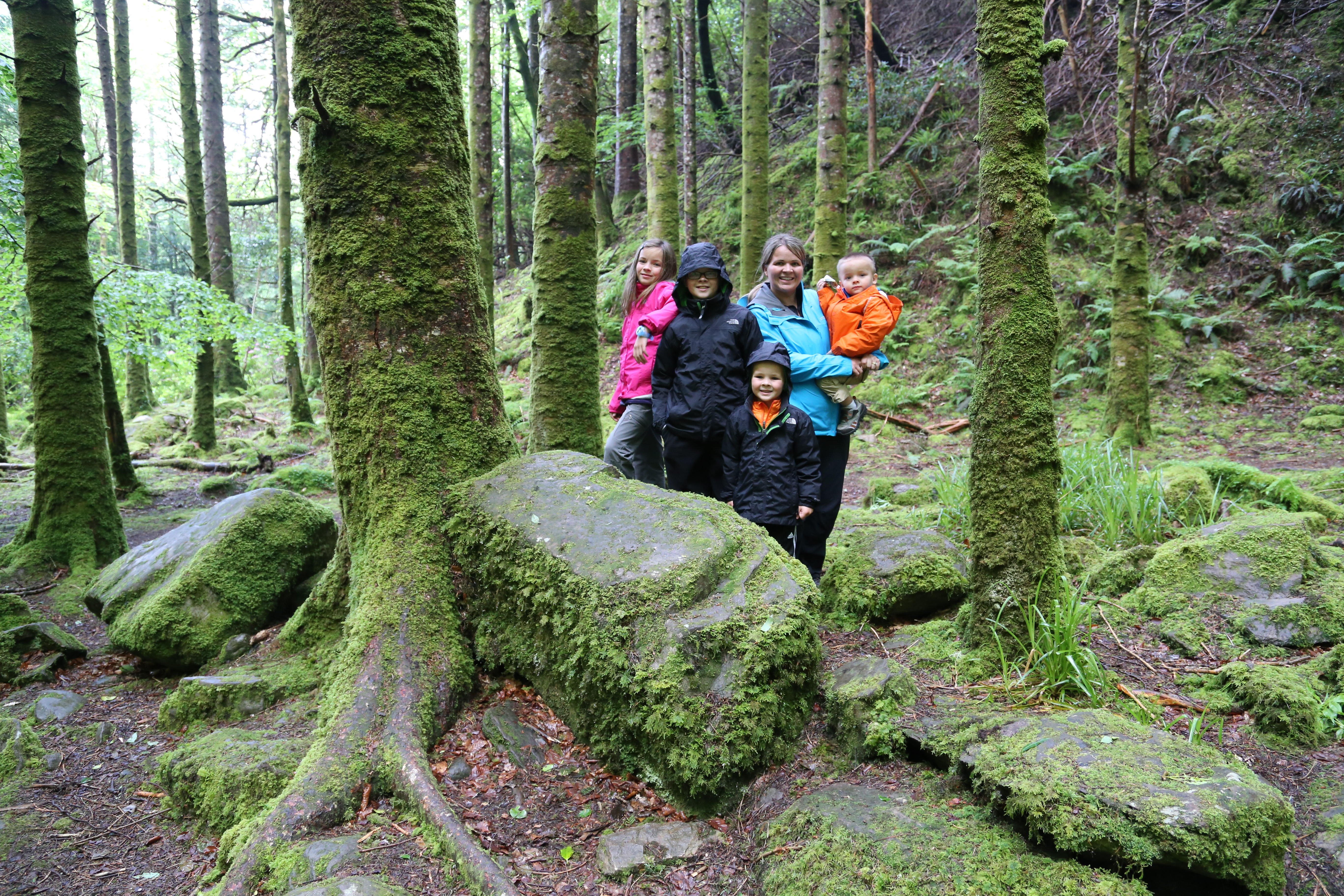 2014 Europe Trip Day 3 - Ireland (The Burren, Poulnabrone Portal Tomb Dolmen, Caherconnell Fort, Sheepdogs, Ring of Kerry, Killarney National Park, Muckross House, Torc Waterfall)