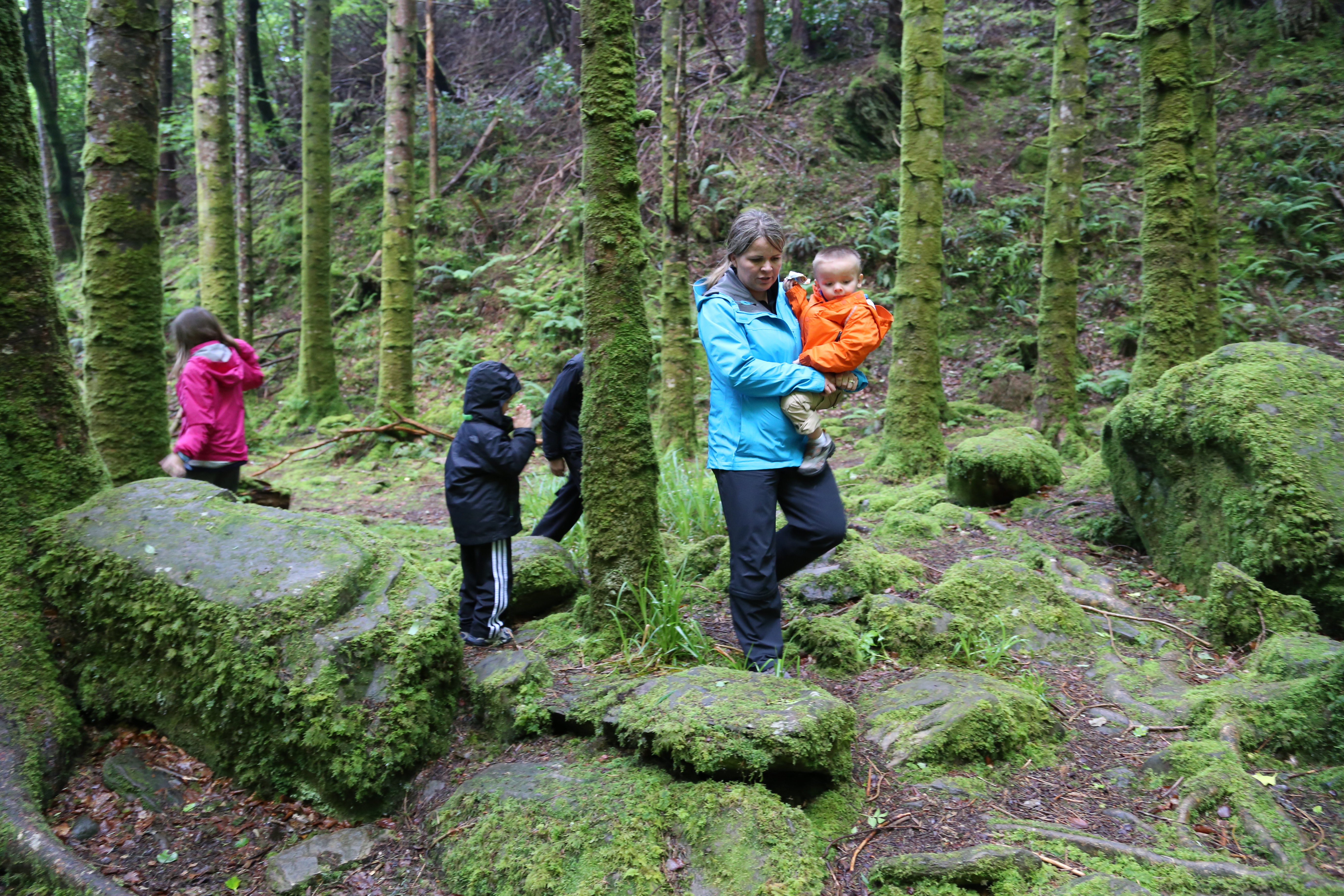 2014 Europe Trip Day 3 - Ireland (The Burren, Poulnabrone Portal Tomb Dolmen, Caherconnell Fort, Sheepdogs, Ring of Kerry, Killarney National Park, Muckross House, Torc Waterfall)