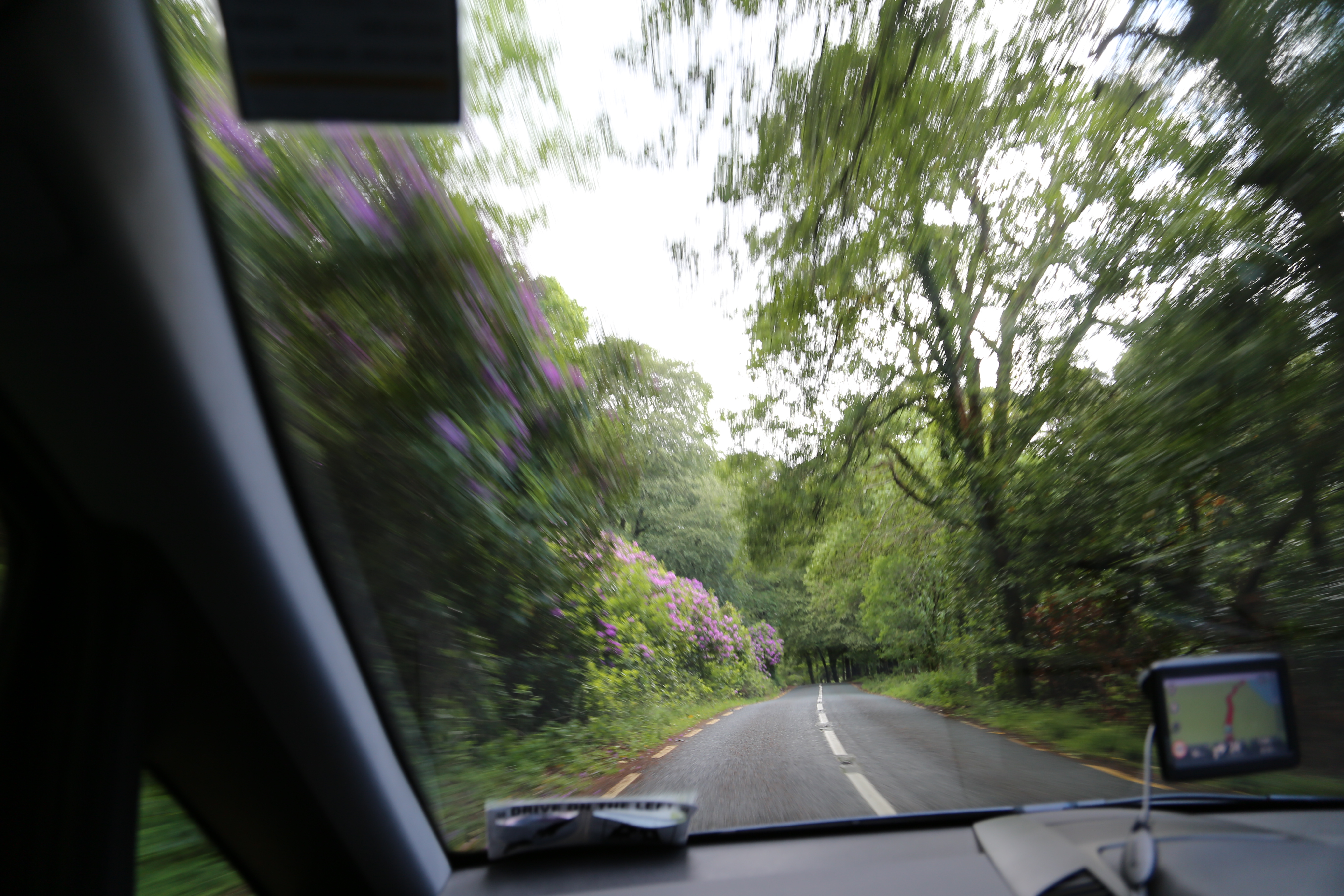 2014 Europe Trip Day 3 - Ireland (The Burren, Poulnabrone Portal Tomb Dolmen, Caherconnell Fort, Sheepdogs, Ring of Kerry, Killarney National Park, Muckross House, Torc Waterfall)