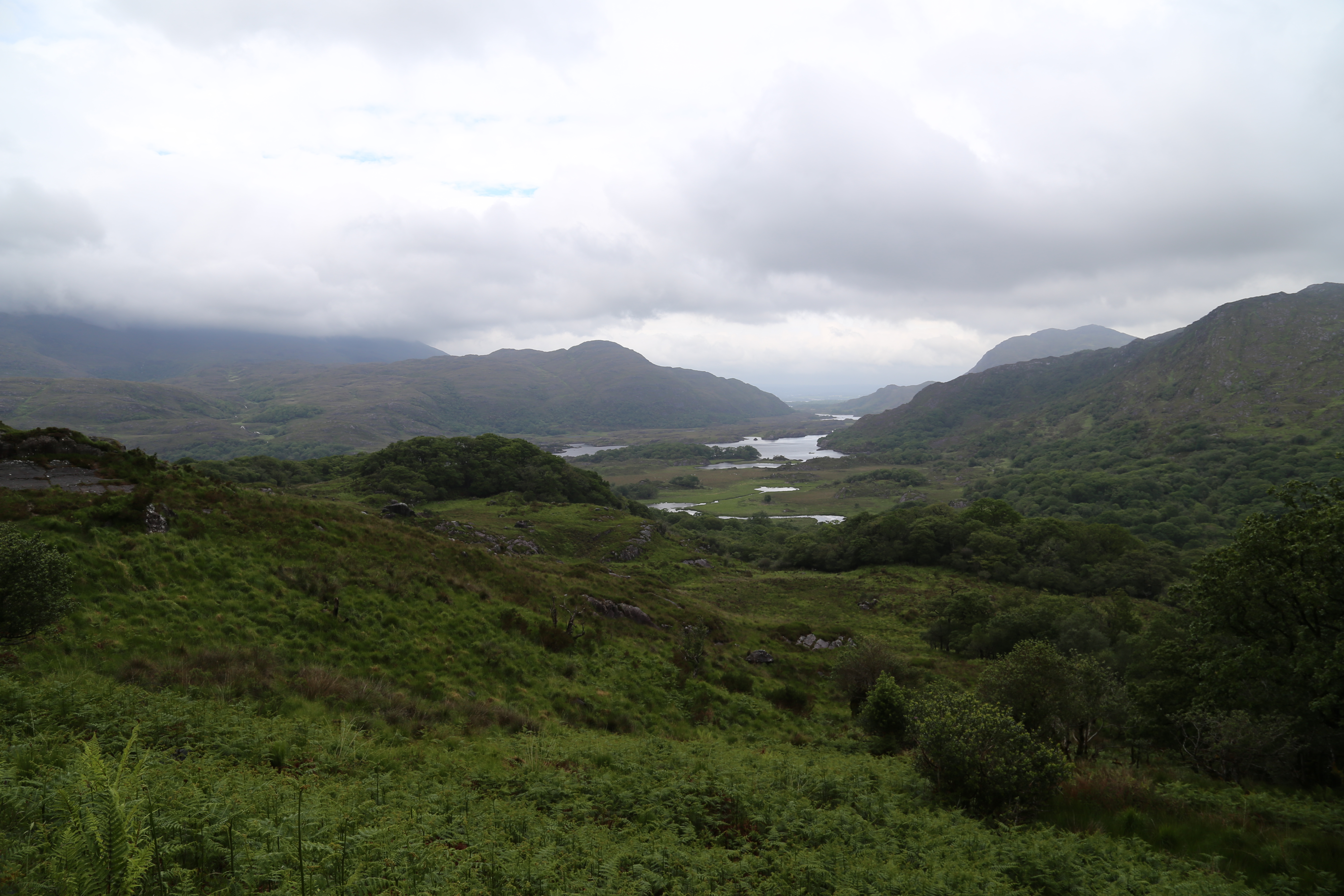 2014 Europe Trip Day 3 - Ireland (The Burren, Poulnabrone Portal Tomb Dolmen, Caherconnell Fort, Sheepdogs, Ring of Kerry, Killarney National Park, Muckross House, Torc Waterfall)