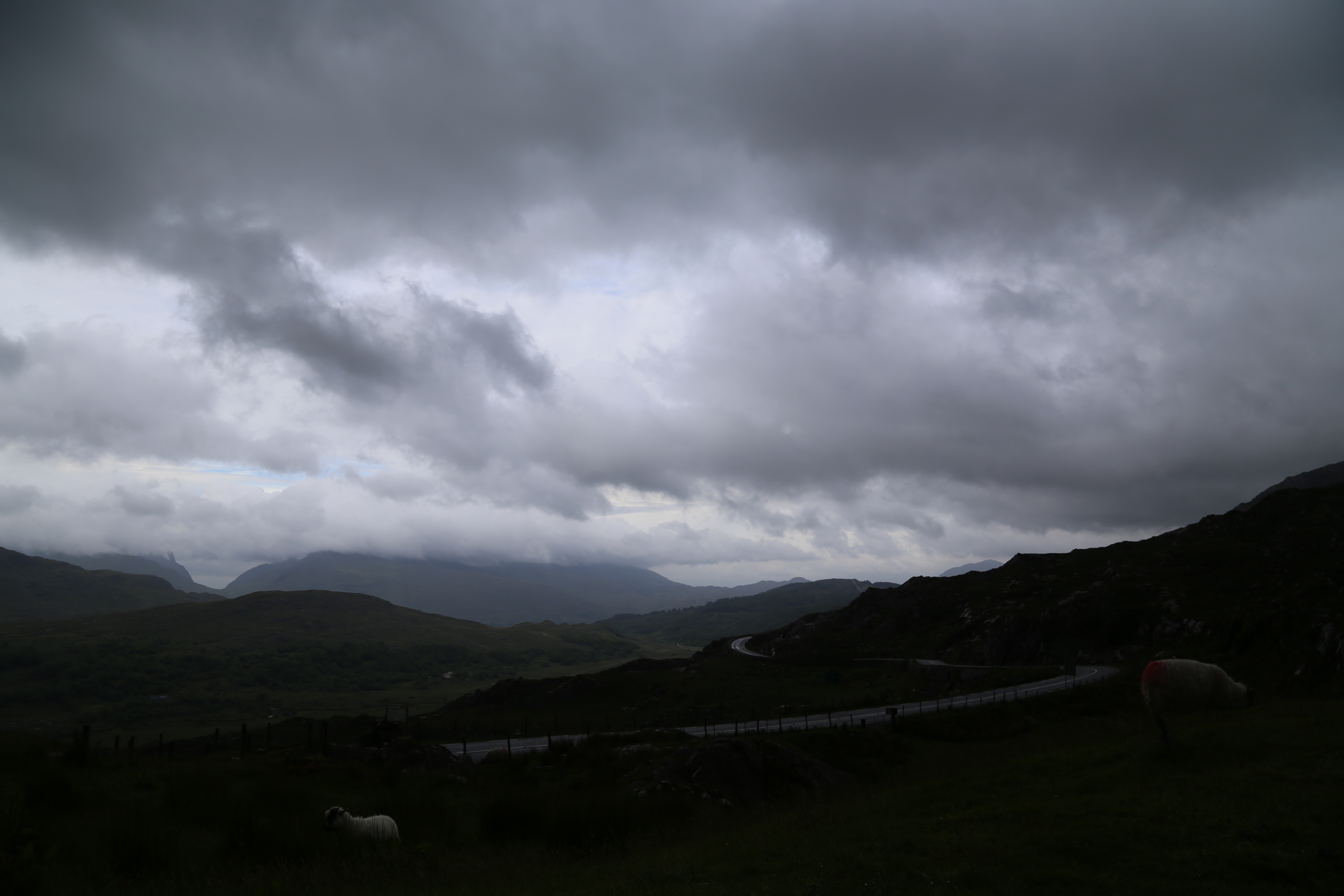 2014 Europe Trip Day 3 - Ireland (The Burren, Poulnabrone Portal Tomb Dolmen, Caherconnell Fort, Sheepdogs, Ring of Kerry, Killarney National Park, Muckross House, Torc Waterfall)