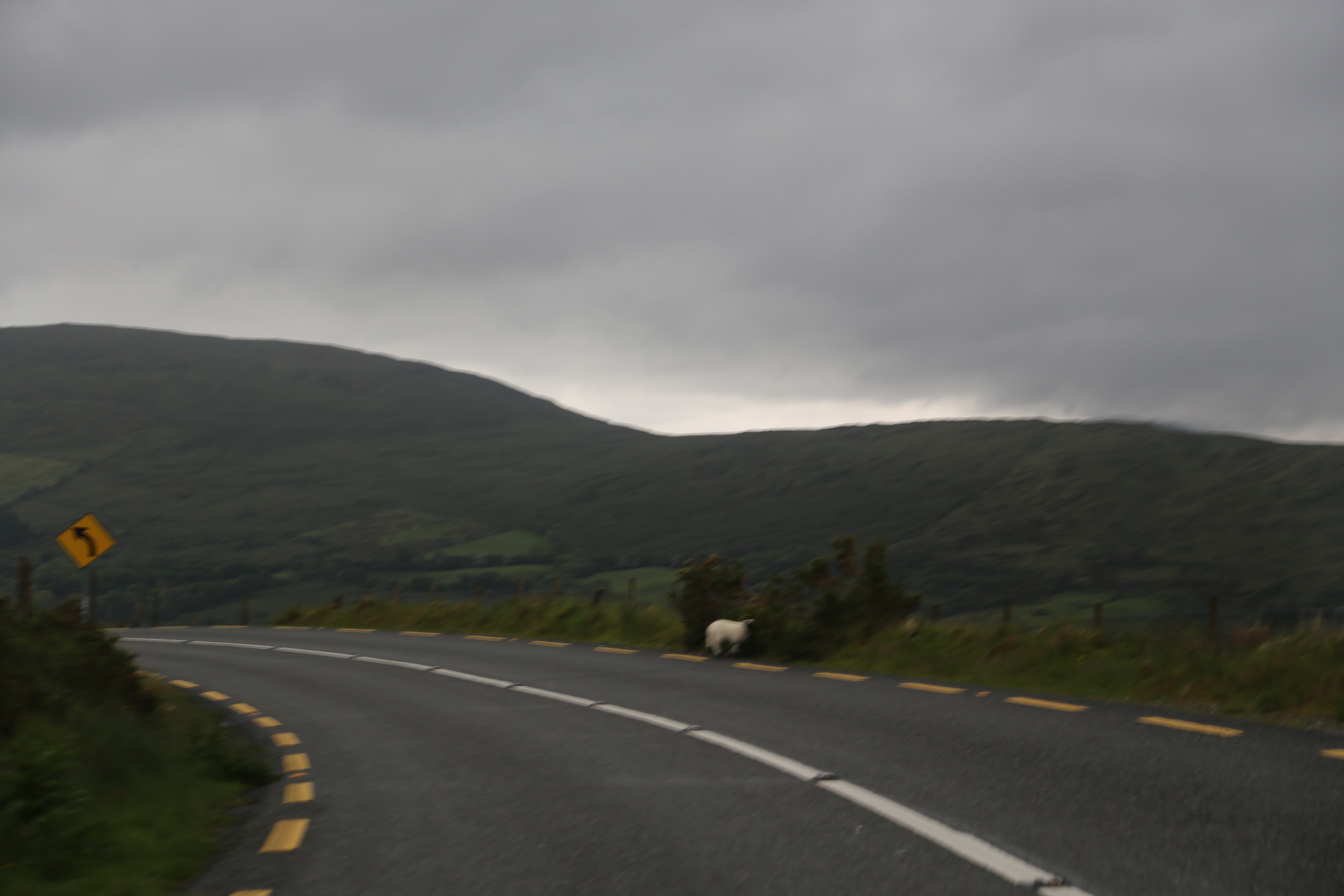 2014 Europe Trip Day 3 - Ireland (The Burren, Poulnabrone Portal Tomb Dolmen, Caherconnell Fort, Sheepdogs, Ring of Kerry, Killarney National Park, Muckross House, Torc Waterfall)