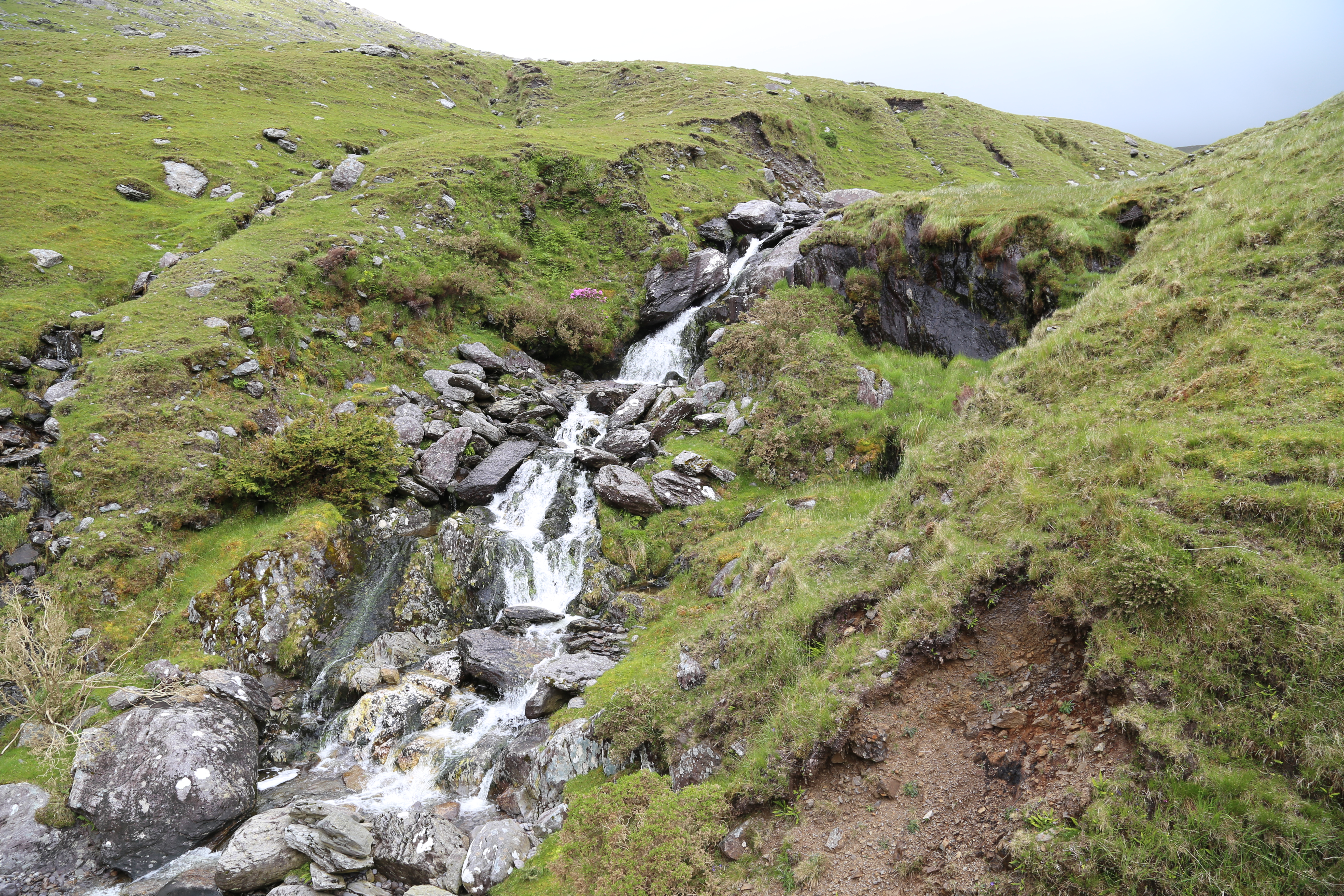 2014 Europe Trip Day 4 - Ireland (Beara Peninsula, Healy Pass, Castletown-Bearhaven, Dursey Island Cable Car, Allihies, Eyeries, Chips and Curry)