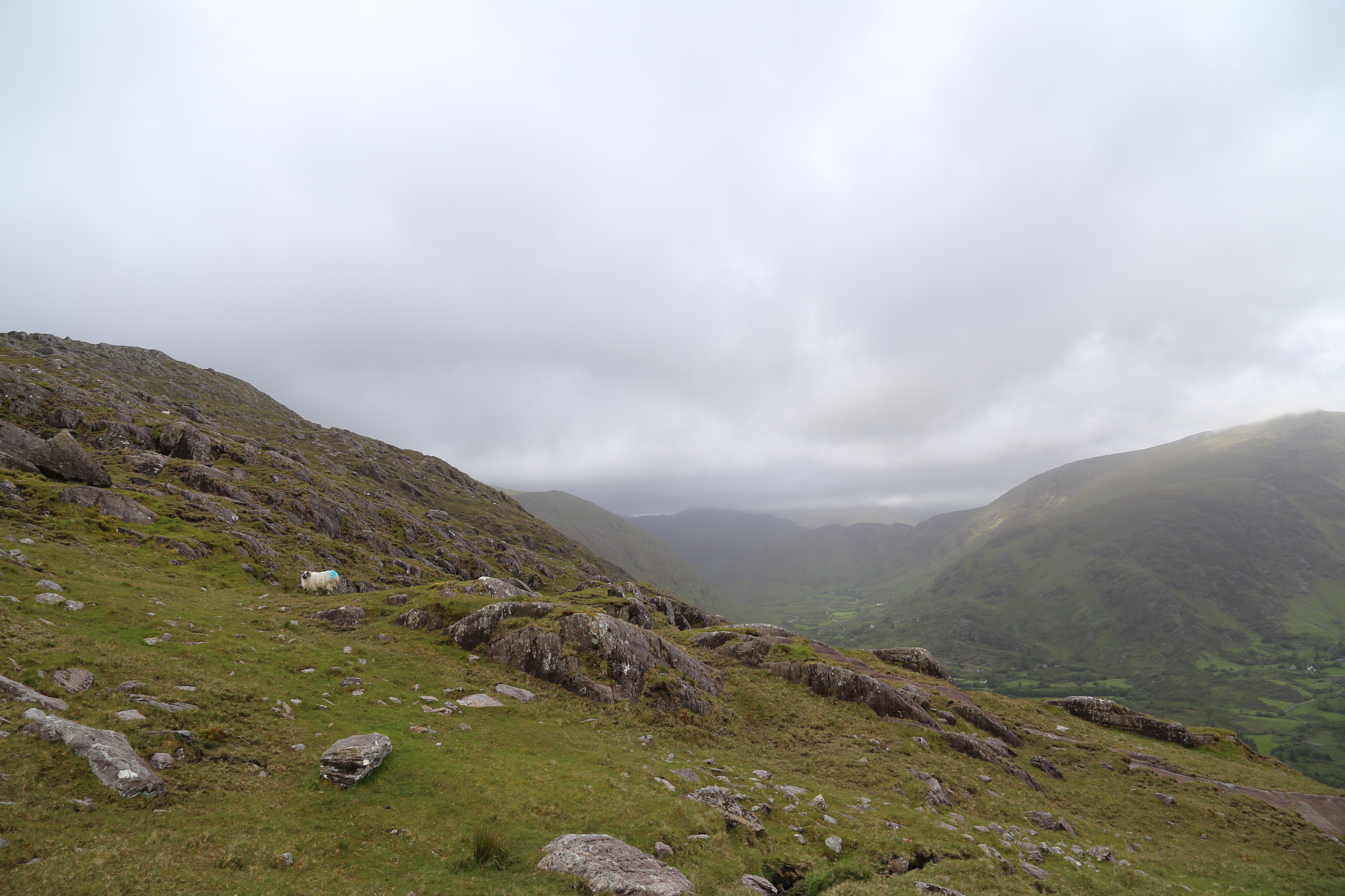 2014 Europe Trip Day 4 - Ireland (Beara Peninsula, Healy Pass, Castletown-Bearhaven, Dursey Island Cable Car, Allihies, Eyeries, Chips and Curry)