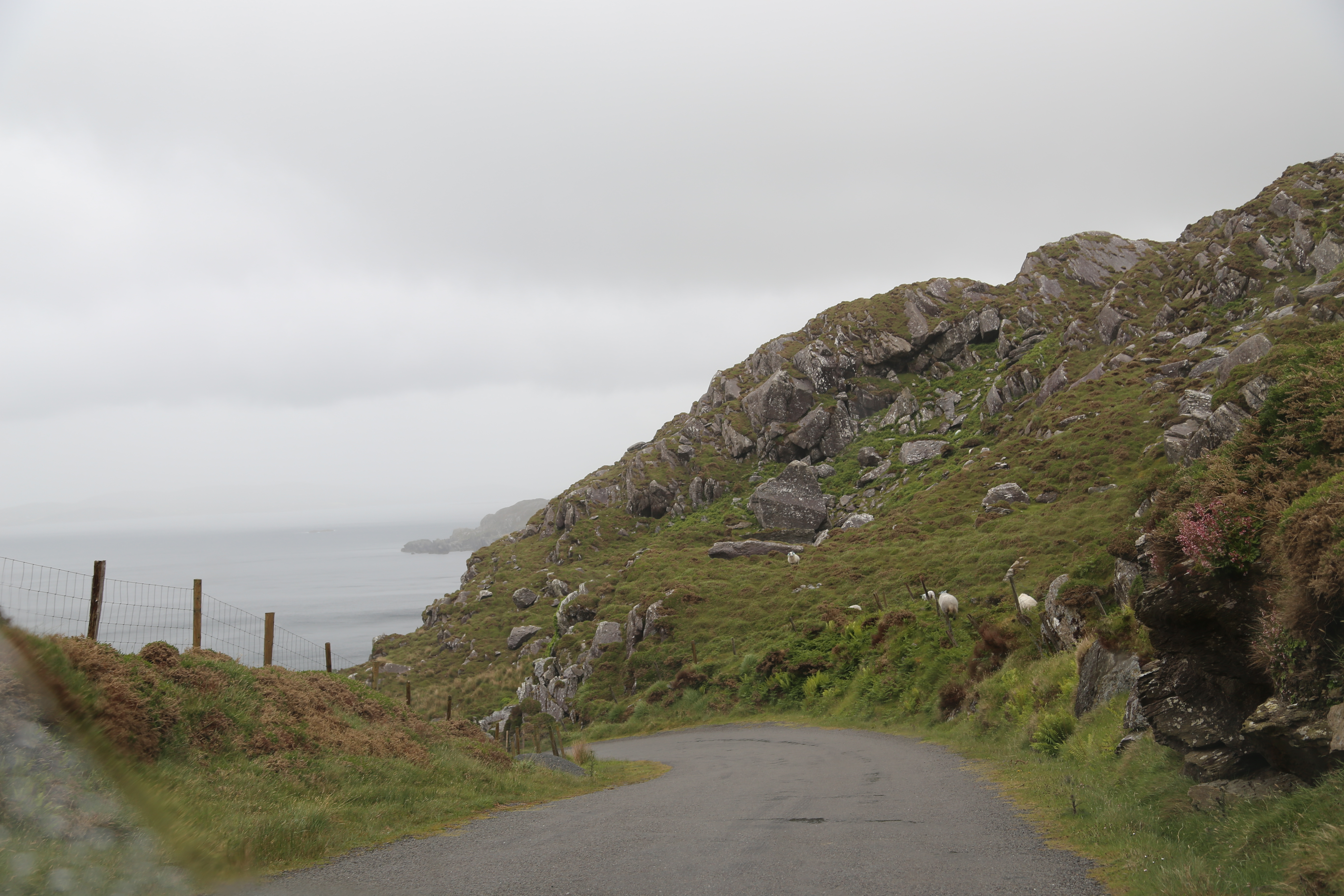 2014 Europe Trip Day 4 - Ireland (Beara Peninsula, Healy Pass, Castletown-Bearhaven, Dursey Island Cable Car, Allihies, Eyeries, Chips and Curry)