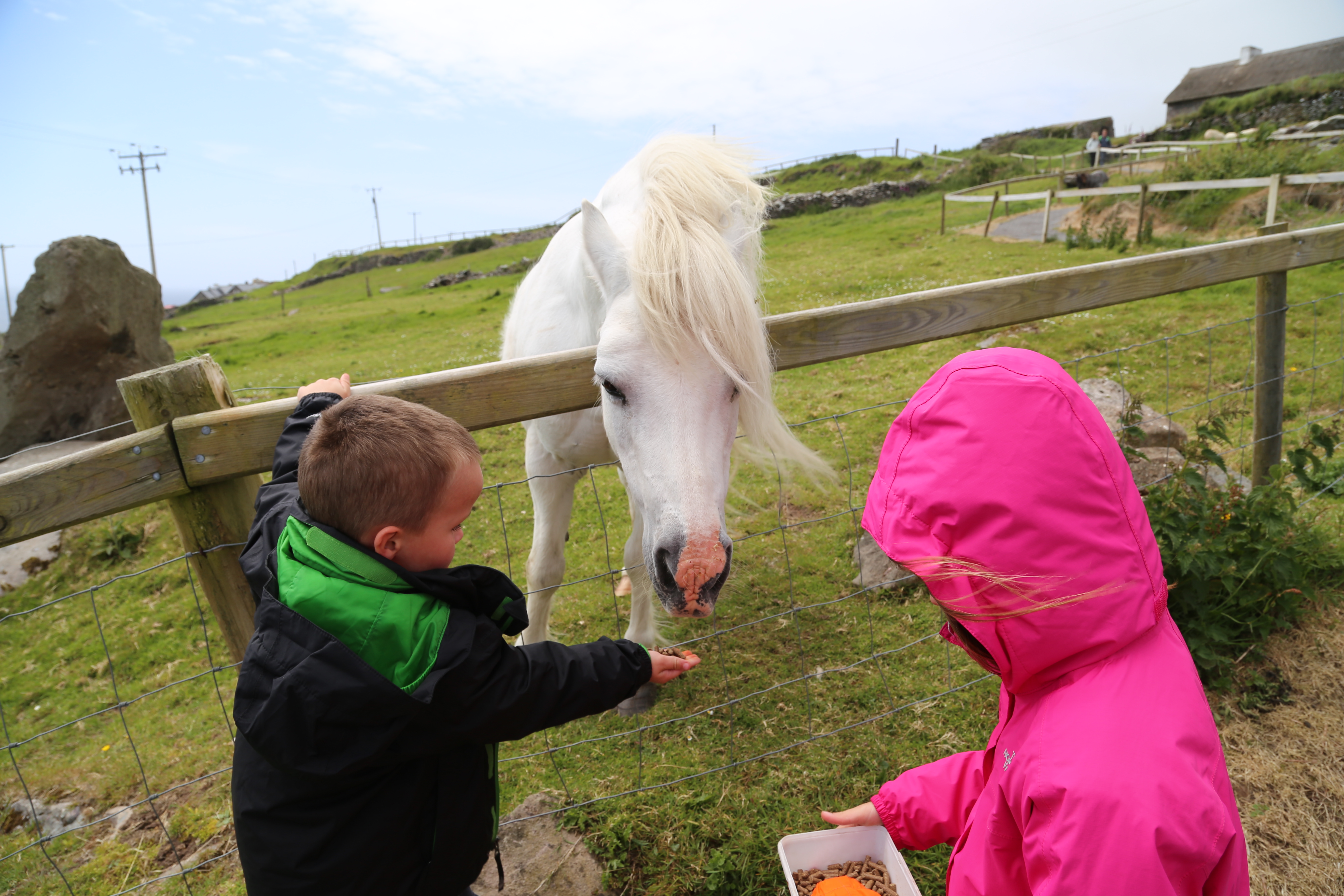 2014 Europe Trip Day 5 - Ireland (Church in Tralee, Blennerville Windmill, Dingle Peninsula, Conor Pass, Ventry Beach, Dunbeg Fort, Irish Potato Famine, Gallarus Oratory, Ring of Kerry, Valentia Island, The Kerry Cliffs, Ballinskelligs Castle and Beach)