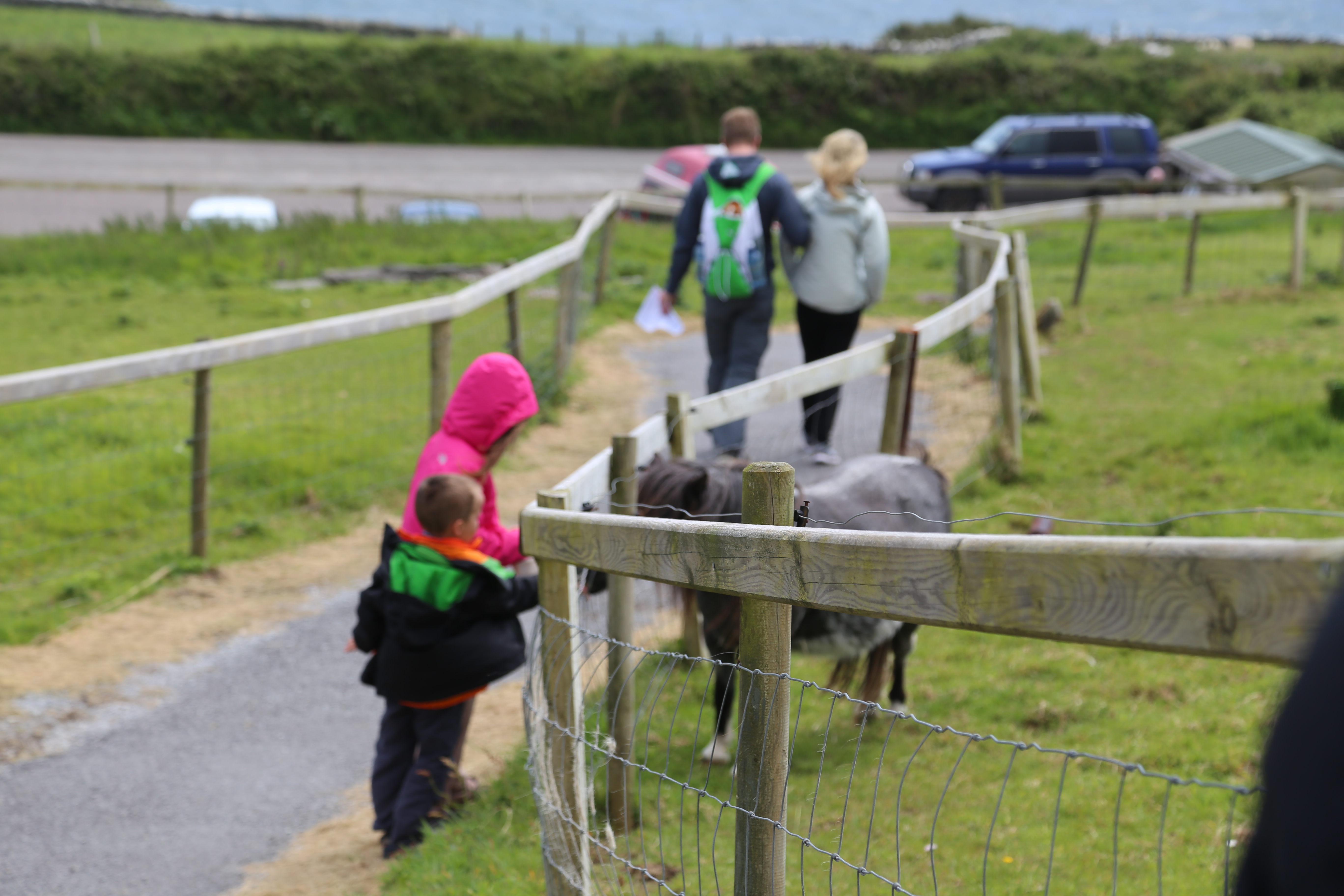 2014 Europe Trip Day 5 - Ireland (Church in Tralee, Blennerville Windmill, Dingle Peninsula, Conor Pass, Ventry Beach, Dunbeg Fort, Irish Potato Famine, Gallarus Oratory, Ring of Kerry, Valentia Island, The Kerry Cliffs, Ballinskelligs Castle and Beach)