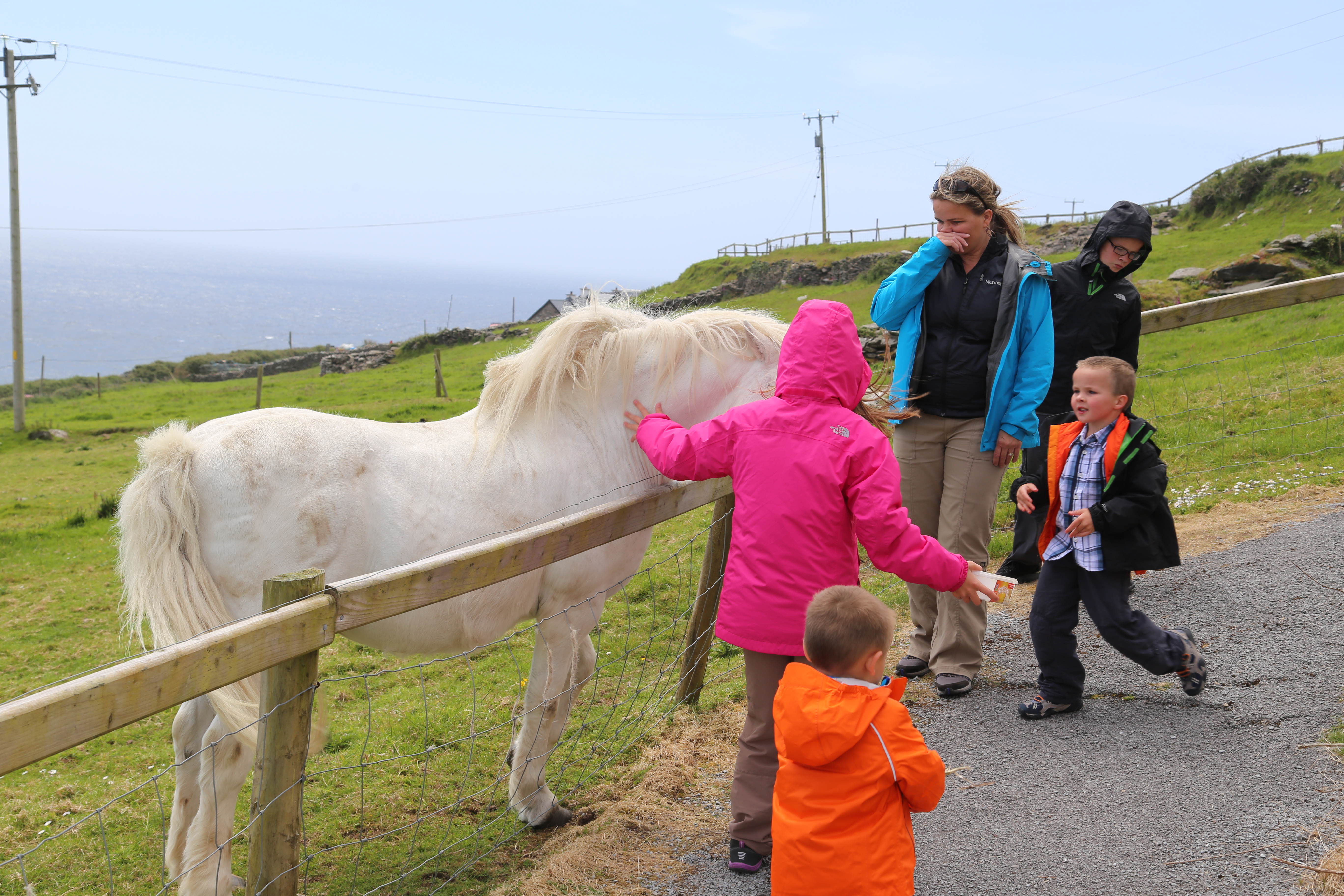 2014 Europe Trip Day 5 - Ireland (Church in Tralee, Blennerville Windmill, Dingle Peninsula, Conor Pass, Ventry Beach, Dunbeg Fort, Irish Potato Famine, Gallarus Oratory, Ring of Kerry, Valentia Island, The Kerry Cliffs, Ballinskelligs Castle and Beach)