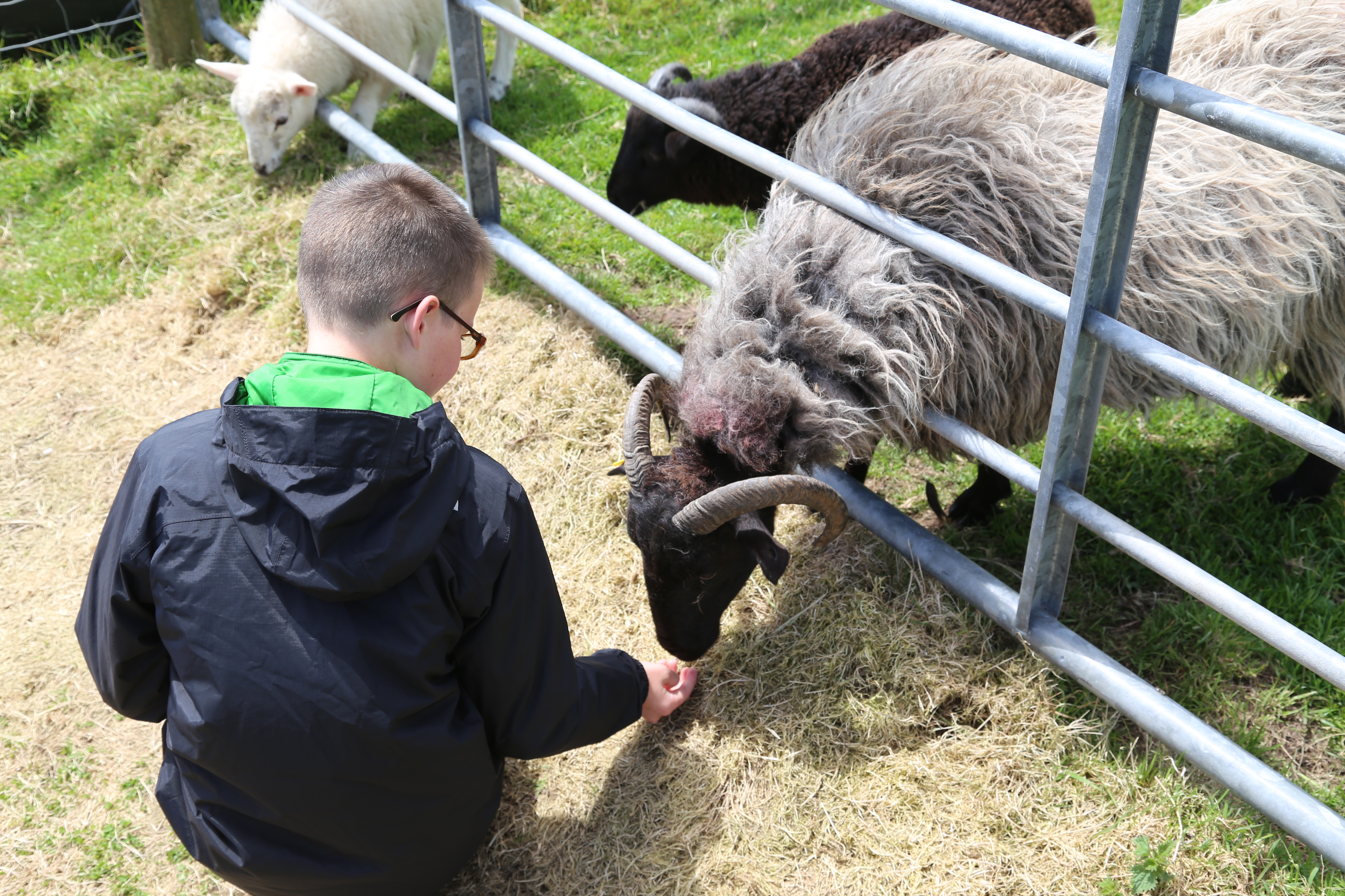 2014 Europe Trip Day 5 - Ireland (Church in Tralee, Blennerville Windmill, Dingle Peninsula, Conor Pass, Ventry Beach, Dunbeg Fort, Irish Potato Famine, Gallarus Oratory, Ring of Kerry, Valentia Island, The Kerry Cliffs, Ballinskelligs Castle and Beach)