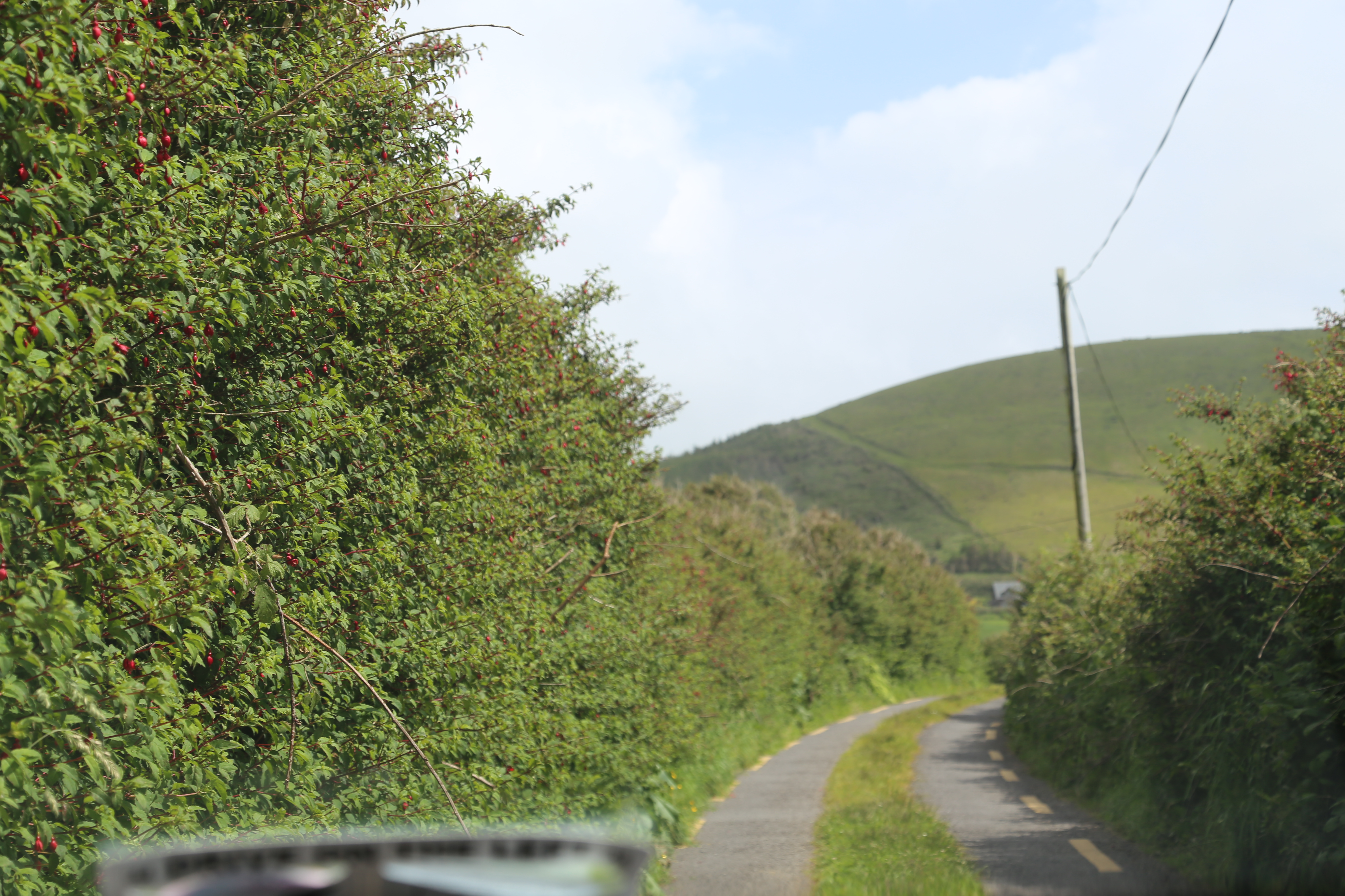 2014 Europe Trip Day 5 - Ireland (Church in Tralee, Blennerville Windmill, Dingle Peninsula, Conor Pass, Ventry Beach, Dunbeg Fort, Irish Potato Famine, Gallarus Oratory, Ring of Kerry, Valentia Island, The Kerry Cliffs, Ballinskelligs Castle and Beach)