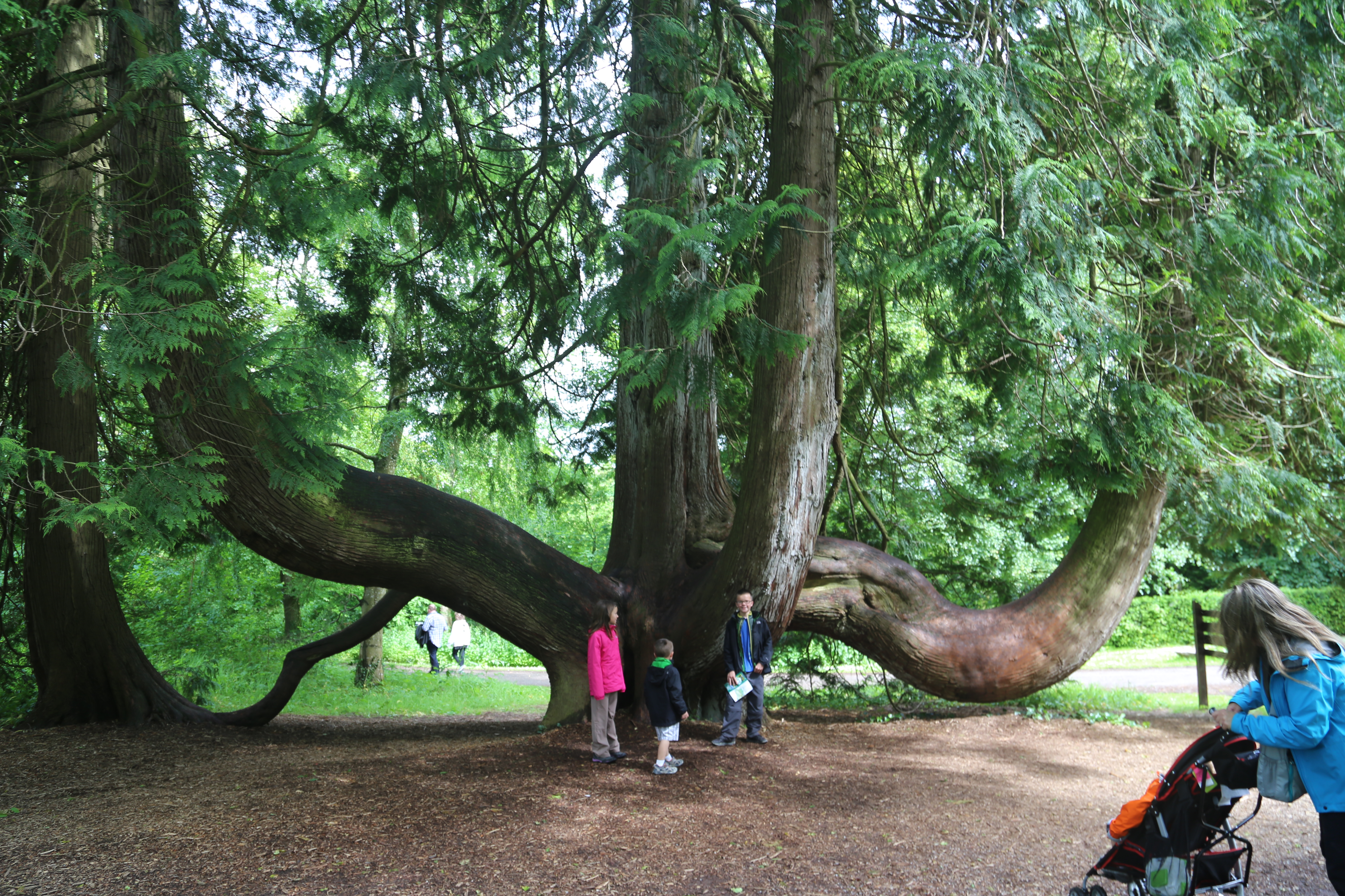 2014 Europe Trip Day 6 - Ireland (Blarney Castle, Kissing the Blarney Stone, Kinsale, Charles Fort, Lispatrick Lower Beach)