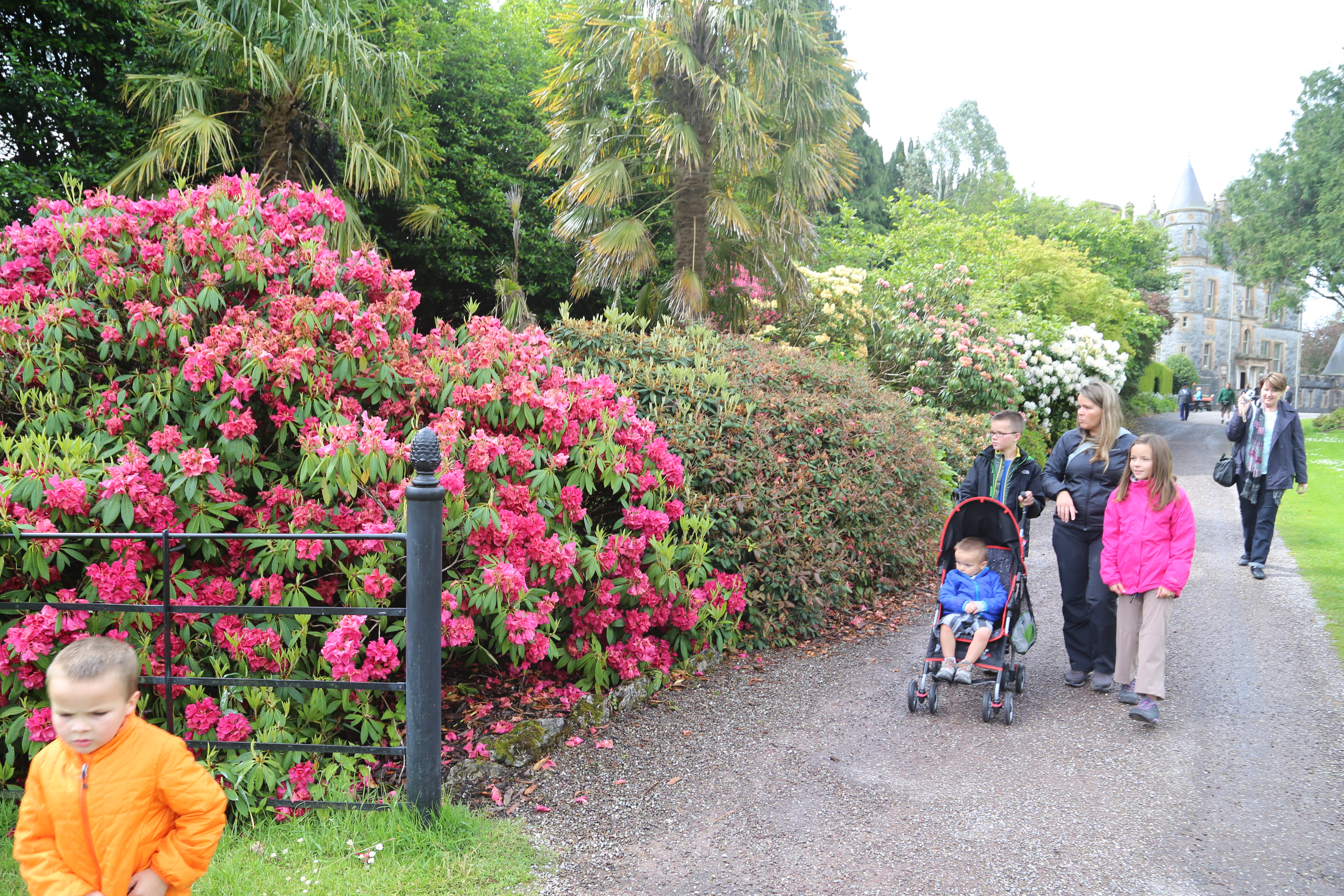 2014 Europe Trip Day 6 - Ireland (Blarney Castle, Kissing the Blarney Stone, Kinsale, Charles Fort, Lispatrick Lower Beach)