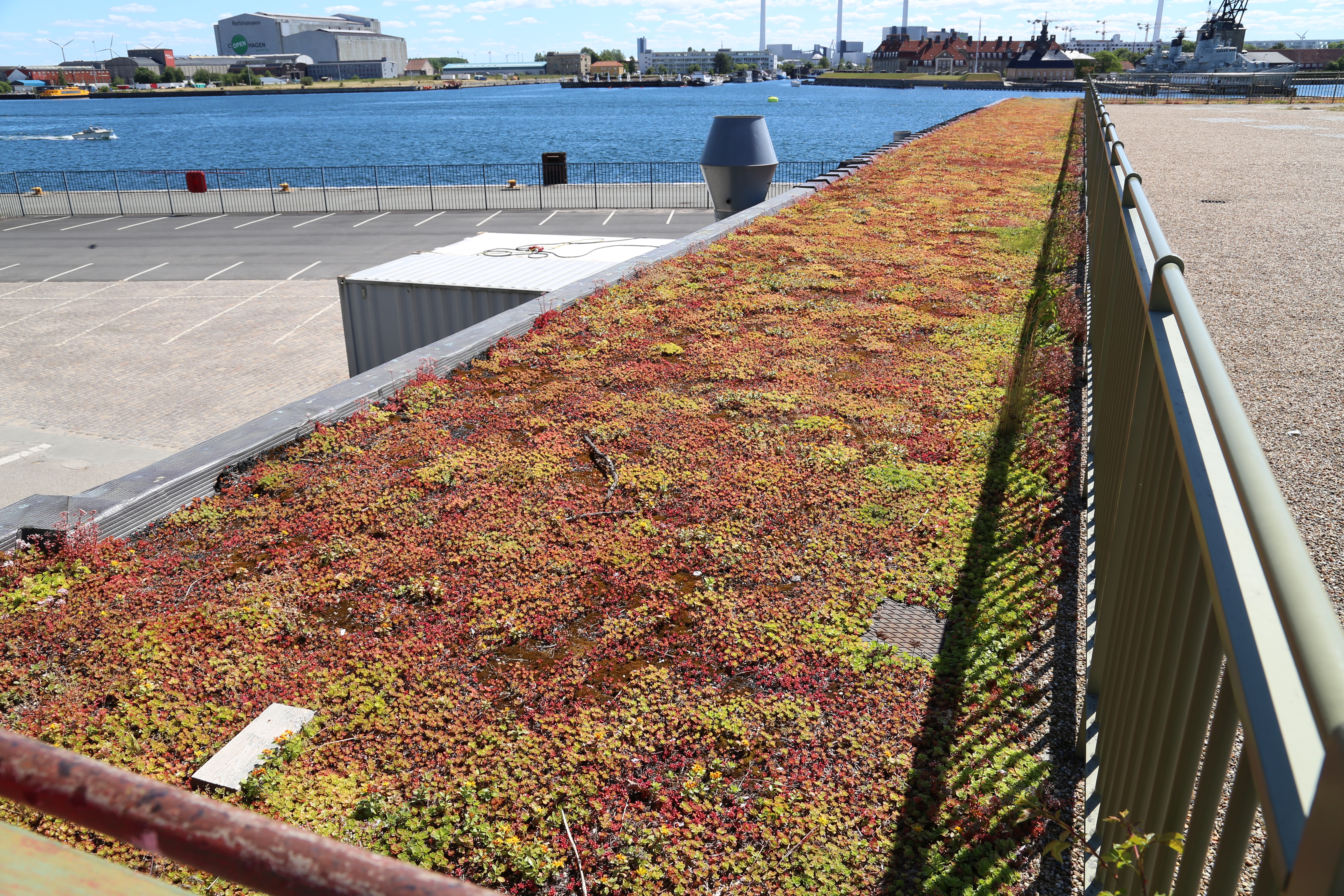 2014 Europe Trip Day 12 - Denmark (Copenhagen, The Little Mermaid Statue, Changing of the Guard (Vagtparade) Amalienborg Palace, The Marble Church (Frederiks Church), Nyhavn, Canal Boat Tour, The Church of Our Lady (Christus), Somods Bolcher Danish Candy)