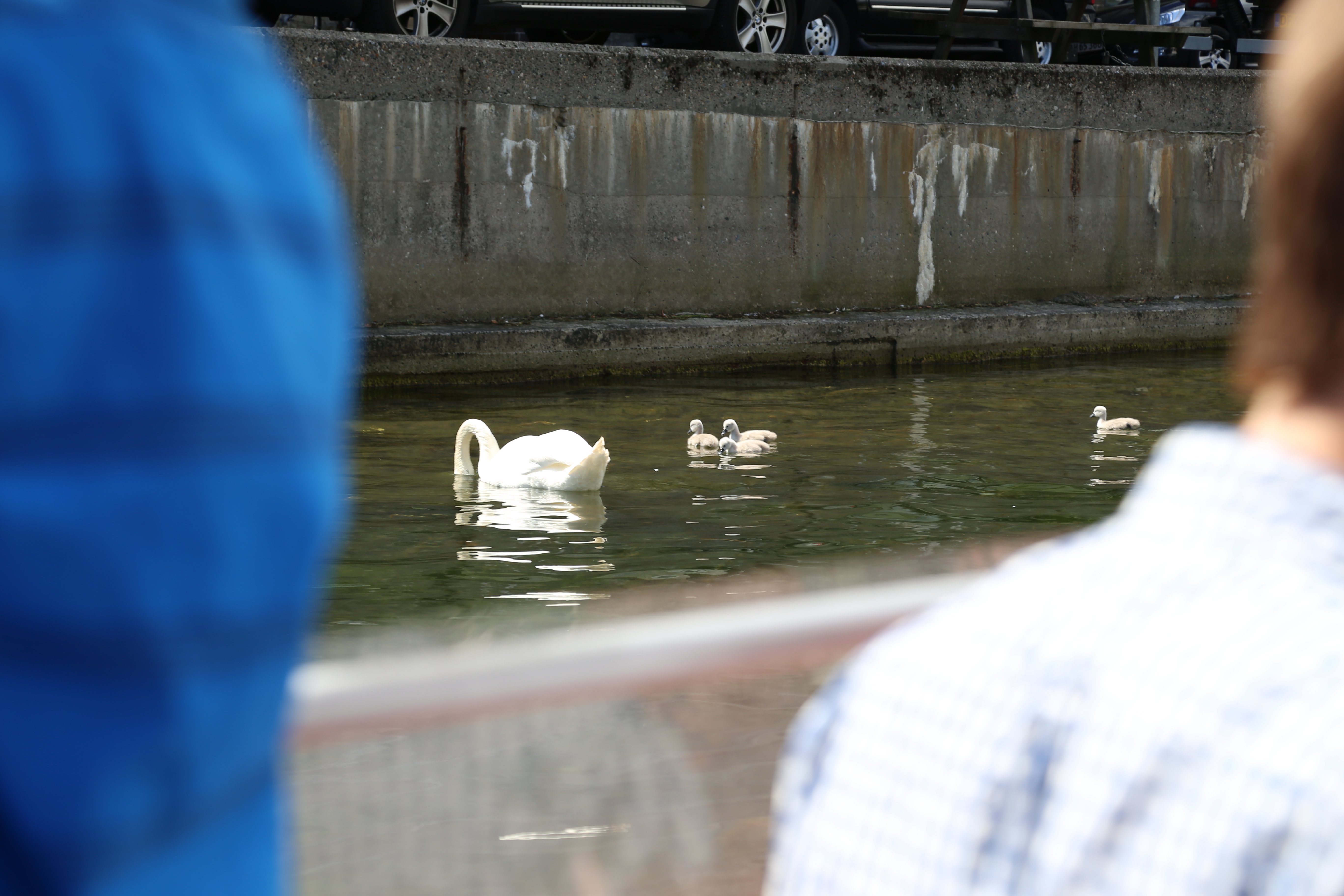 2014 Europe Trip Day 12 - Denmark (Copenhagen, The Little Mermaid Statue, Changing of the Guard (Vagtparade) Amalienborg Palace, The Marble Church (Frederiks Church), Nyhavn, Canal Boat Tour, The Church of Our Lady (Christus), Somods Bolcher Danish Candy)