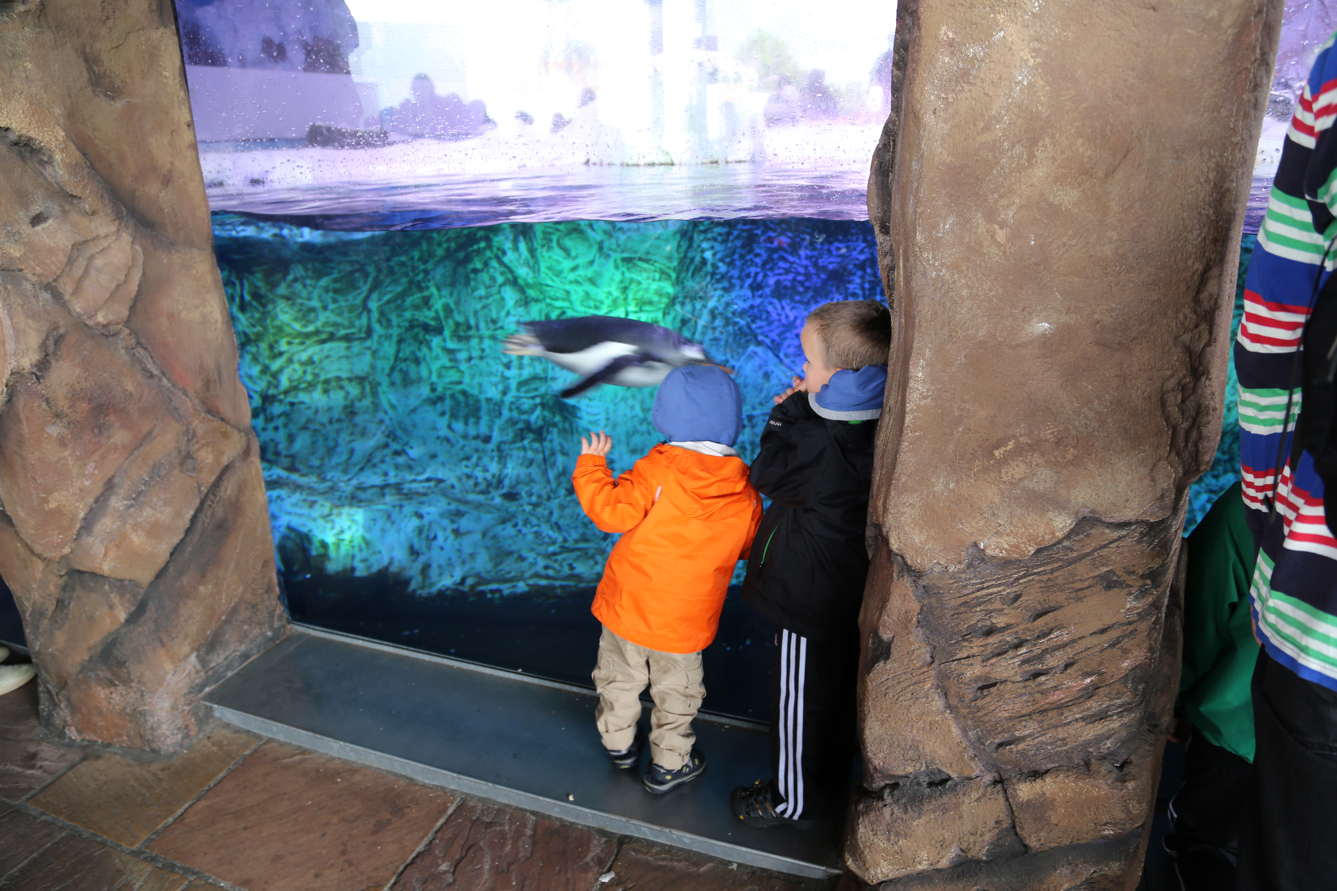 2014 Europe Trip Day 16 - Denmark (Danish Money, Langaa Camping Cabin, Legoland Billund Resort (World's First Legoland - 1968), Danish Hotdogs, Legoland Drivers License, Peeing on the Legotrain, Legoland Holiday Village Cabin and Playground)