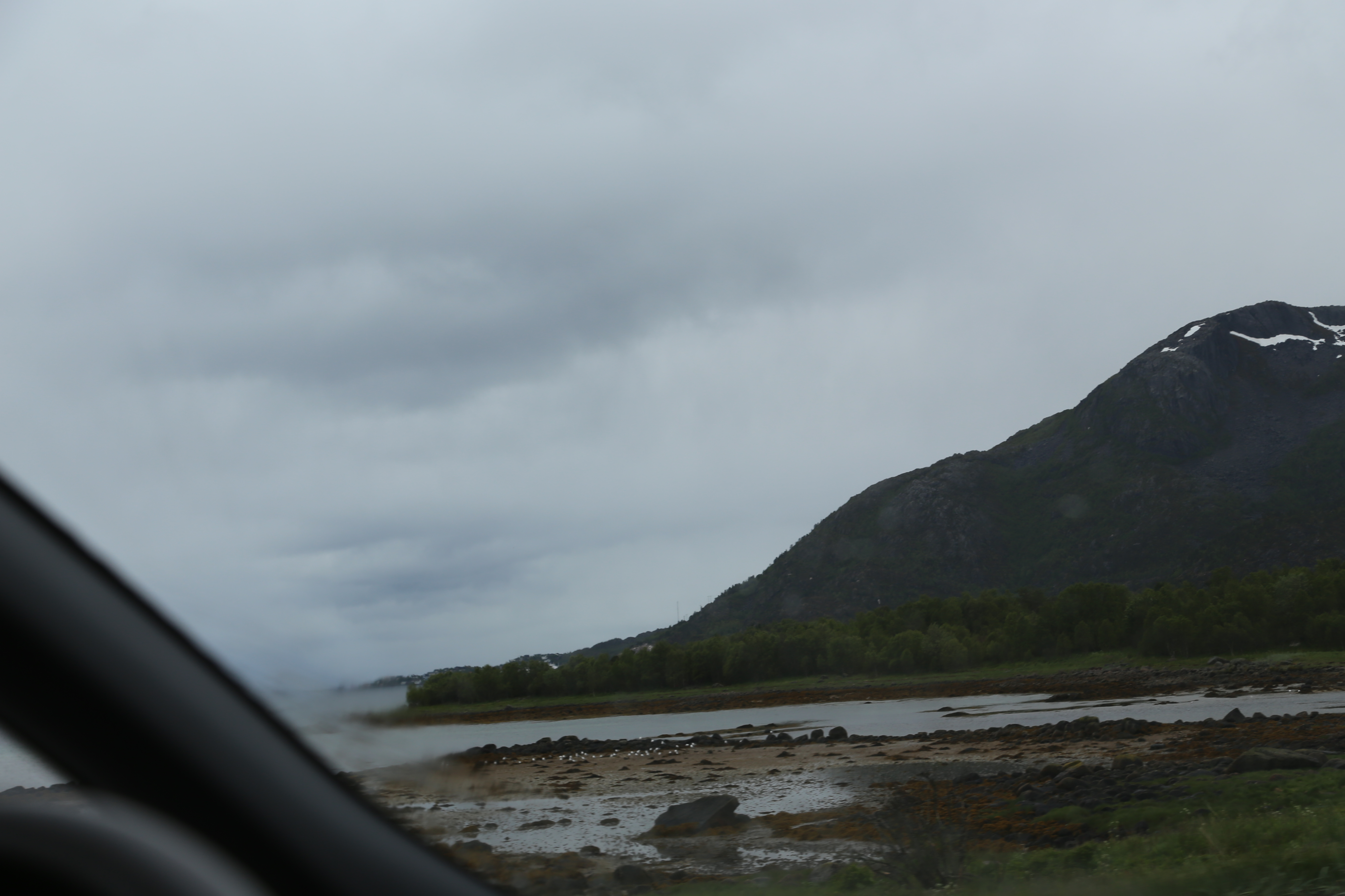 2014 Europe Trip Day 18 - Norway (Lofoten Islands: Sordal Tunnel (4 miles),  Sloverfjord Tunnel (2 miles), Chocolate Chip Rolls, Svolvaer, Lofoten Stockfish (Hanging Cod), Fishing Village Named Å, Snails, Fiskeburger (Fish Burger), Wild Reindeer) 