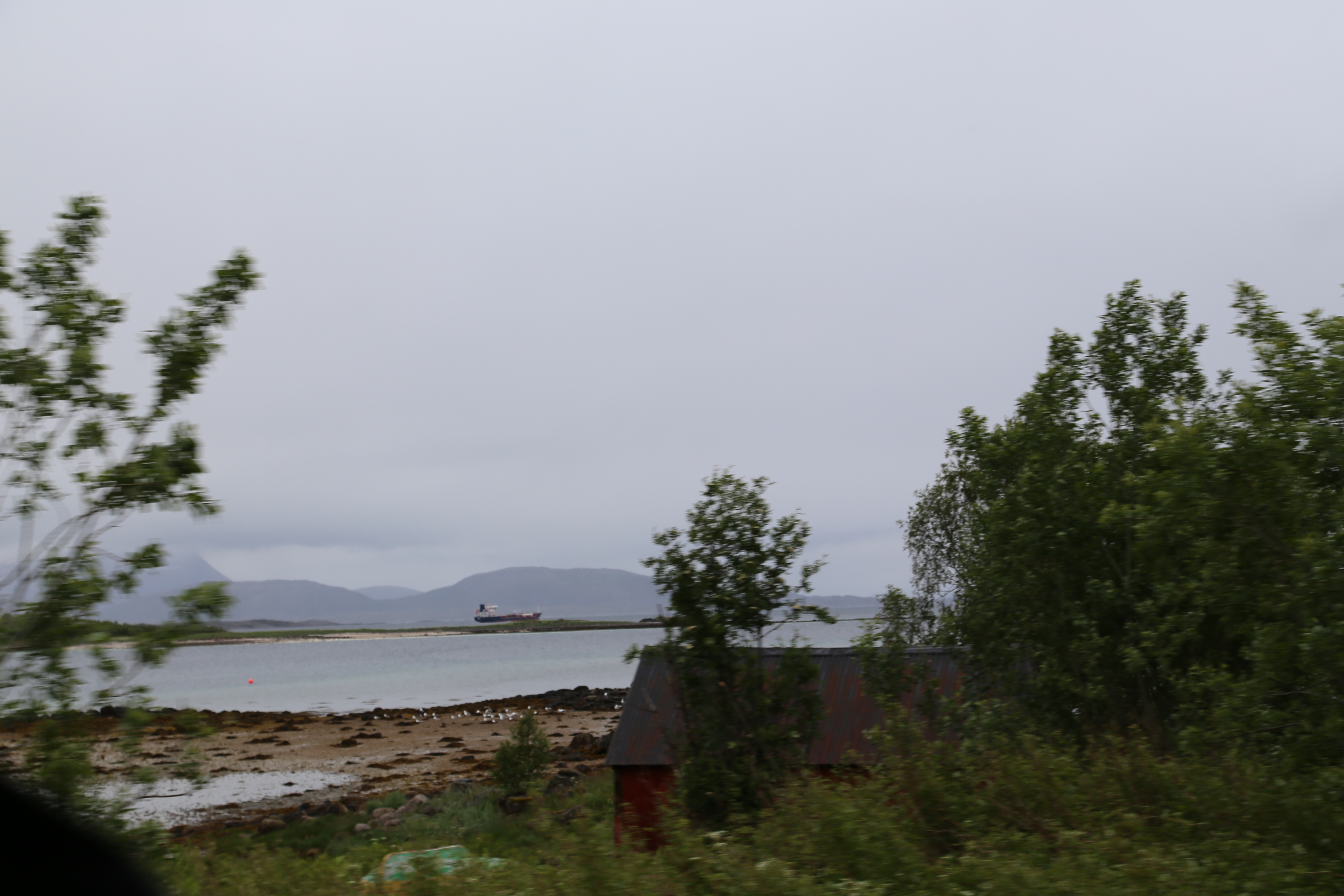 2014 Europe Trip Day 18 - Norway (Lofoten Islands: Sordal Tunnel (4 miles),  Sloverfjord Tunnel (2 miles), Chocolate Chip Rolls, Svolvaer, Lofoten Stockfish (Hanging Cod), Fishing Village Named Å, Snails, Fiskeburger (Fish Burger), Wild Reindeer) 