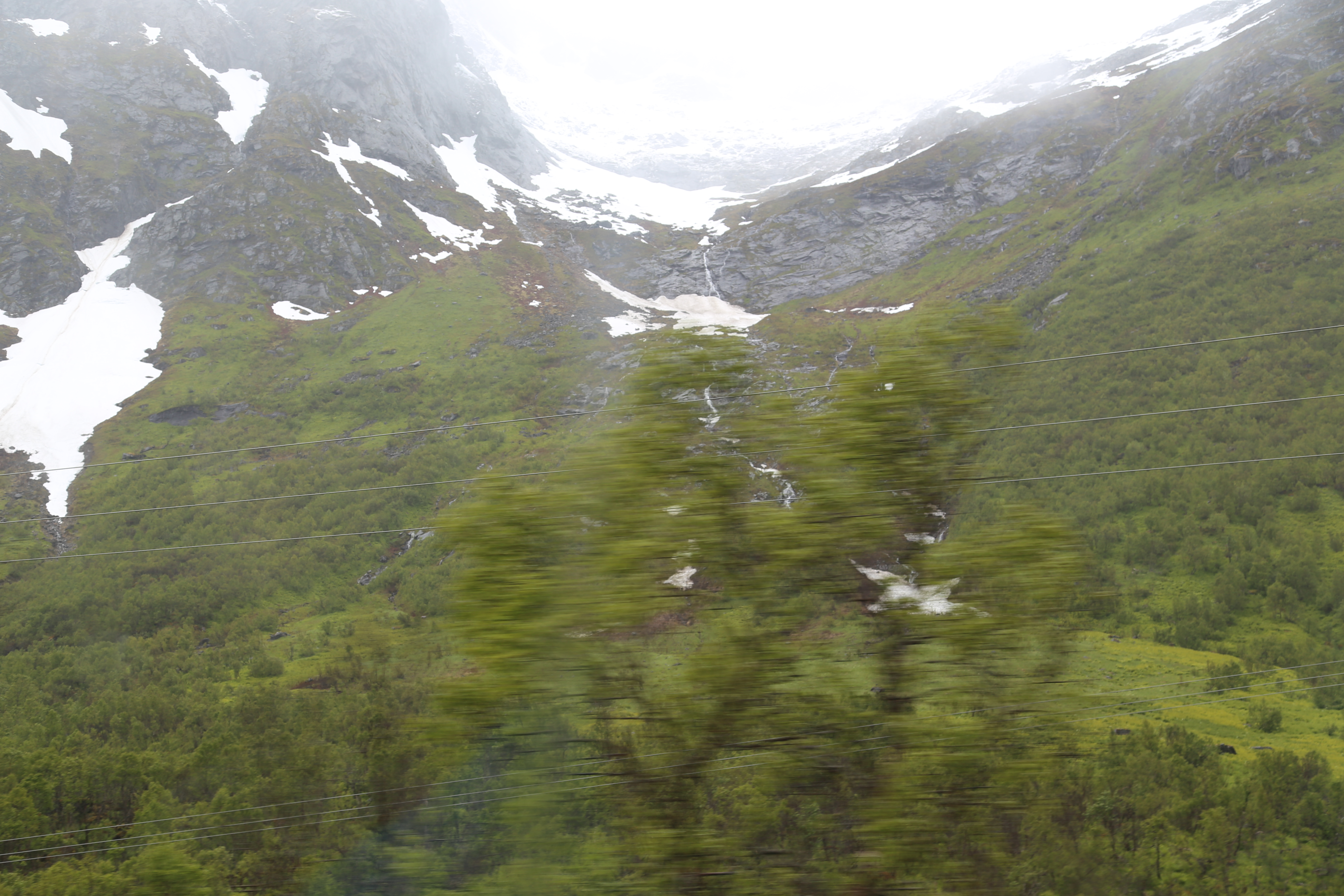 2014 Europe Trip Day 18 - Norway (Lofoten Islands: Sordal Tunnel (4 miles),  Sloverfjord Tunnel (2 miles), Chocolate Chip Rolls, Svolvaer, Lofoten Stockfish (Hanging Cod), Fishing Village Named Å, Snails, Fiskeburger (Fish Burger), Wild Reindeer) 