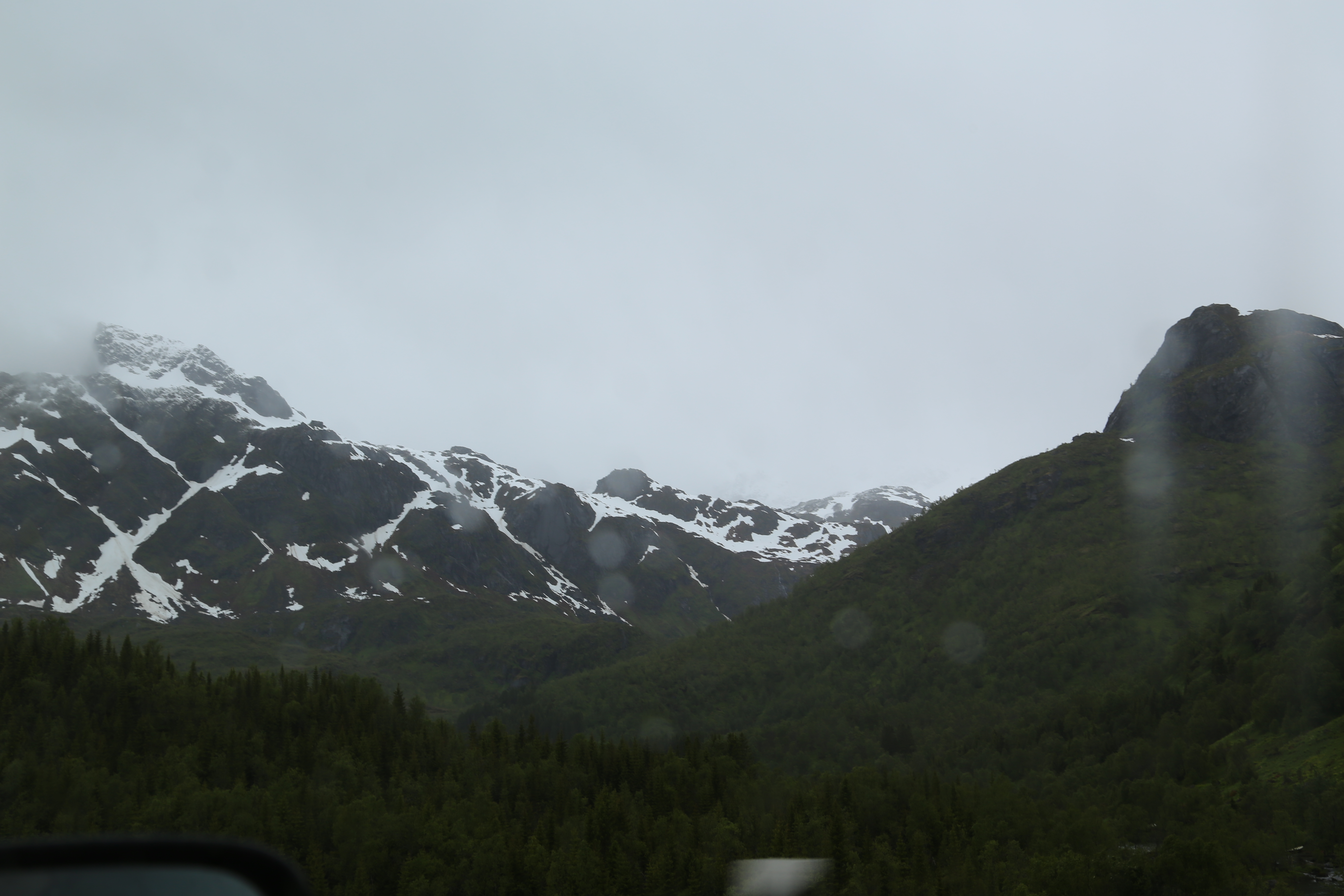 2014 Europe Trip Day 18 - Norway (Lofoten Islands: Sordal Tunnel (4 miles),  Sloverfjord Tunnel (2 miles), Chocolate Chip Rolls, Svolvaer, Lofoten Stockfish (Hanging Cod), Fishing Village Named Å, Snails, Fiskeburger (Fish Burger), Wild Reindeer) 