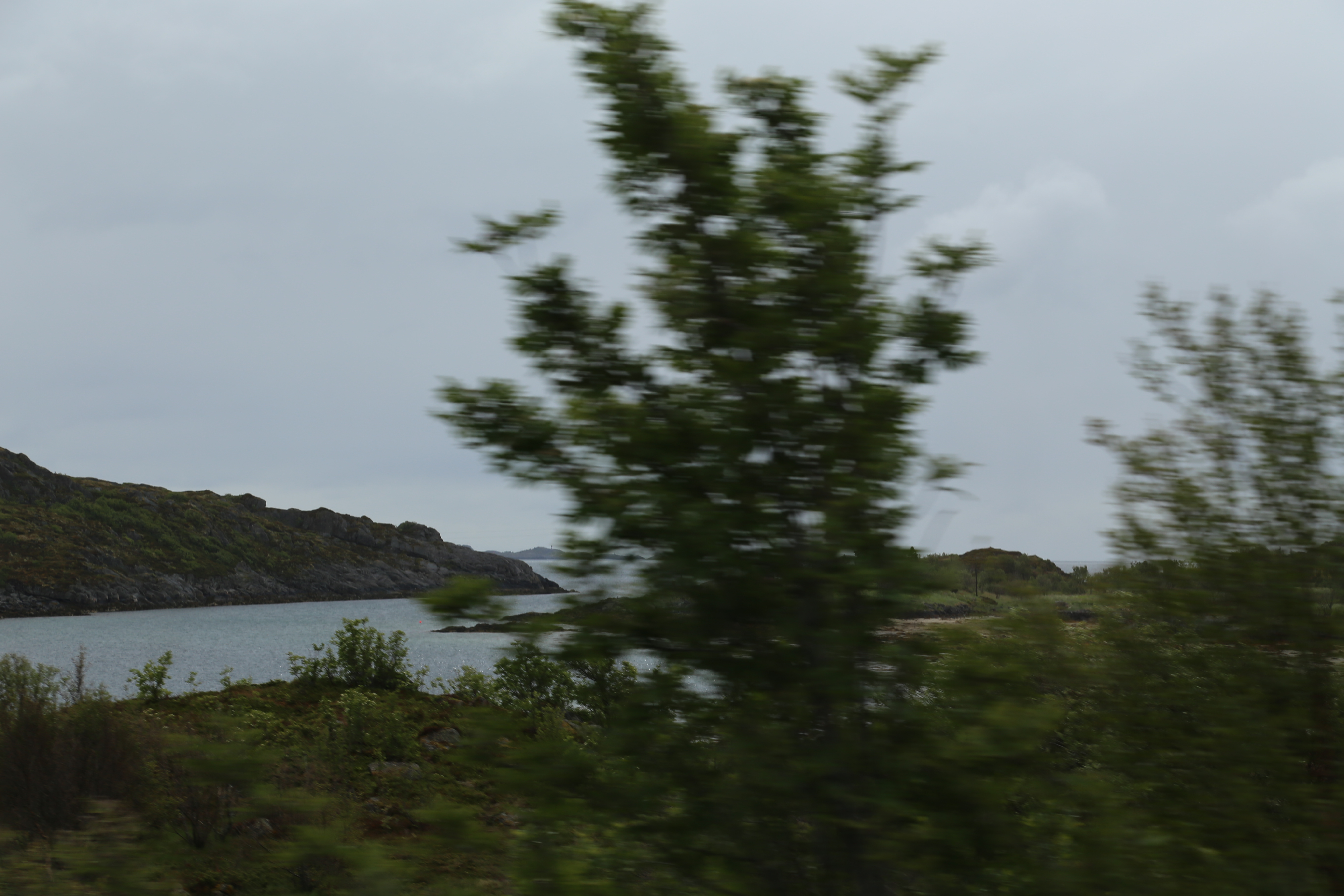 2014 Europe Trip Day 18 - Norway (Lofoten Islands: Sordal Tunnel (4 miles),  Sloverfjord Tunnel (2 miles), Chocolate Chip Rolls, Svolvaer, Lofoten Stockfish (Hanging Cod), Fishing Village Named Å, Snails, Fiskeburger (Fish Burger), Wild Reindeer) 