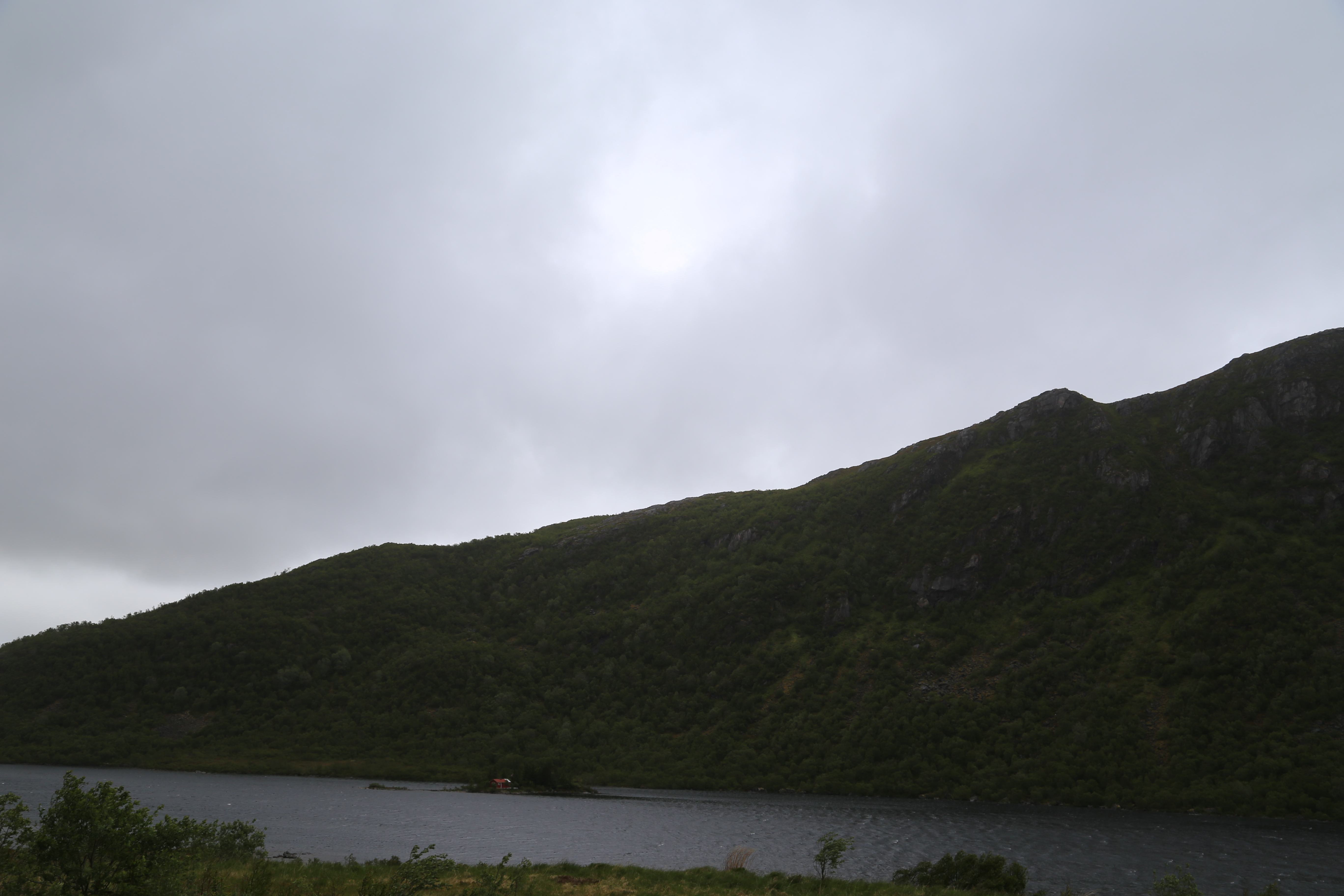 2014 Europe Trip Day 18 - Norway (Lofoten Islands: Sordal Tunnel (4 miles),  Sloverfjord Tunnel (2 miles), Chocolate Chip Rolls, Svolvaer, Lofoten Stockfish (Hanging Cod), Fishing Village Named Å, Snails, Fiskeburger (Fish Burger), Wild Reindeer) 