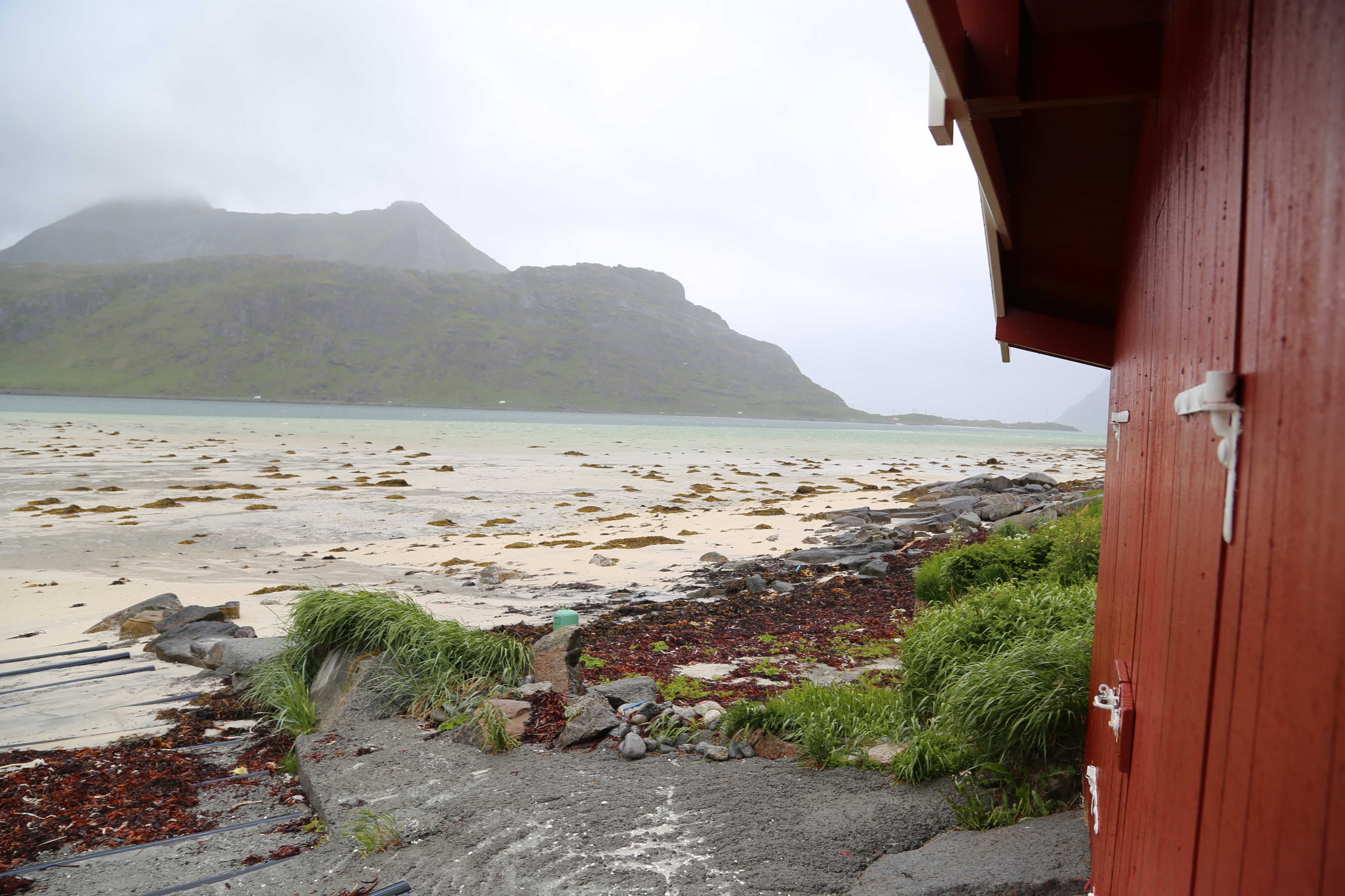 2014 Europe Trip Day 18 - Norway (Lofoten Islands: Sordal Tunnel (4 miles),  Sloverfjord Tunnel (2 miles), Chocolate Chip Rolls, Svolvaer, Lofoten Stockfish (Hanging Cod), Fishing Village Named Å, Snails, Fiskeburger (Fish Burger), Wild Reindeer) 