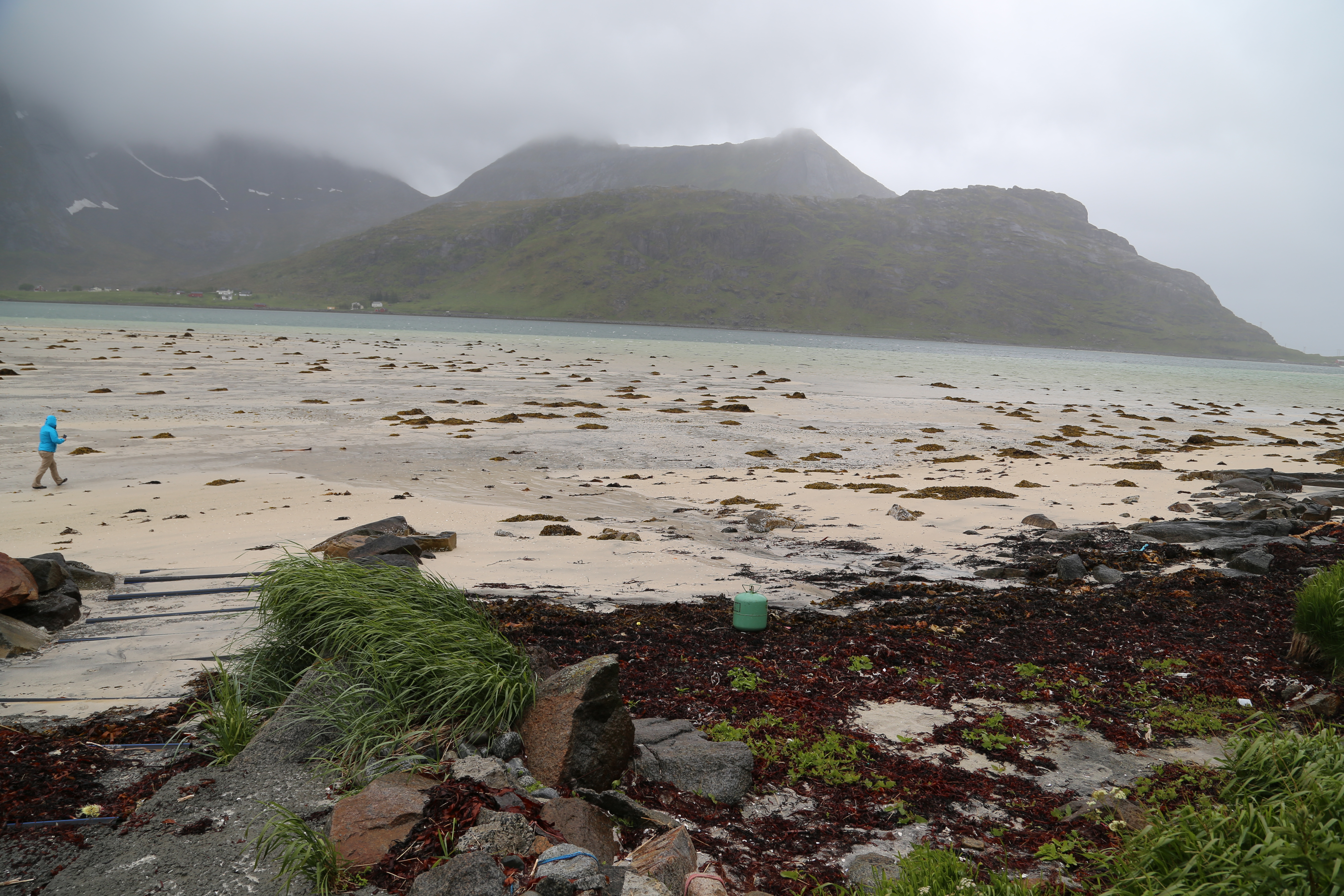 2014 Europe Trip Day 18 - Norway (Lofoten Islands: Sordal Tunnel (4 miles),  Sloverfjord Tunnel (2 miles), Chocolate Chip Rolls, Svolvaer, Lofoten Stockfish (Hanging Cod), Fishing Village Named Å, Snails, Fiskeburger (Fish Burger), Wild Reindeer) 