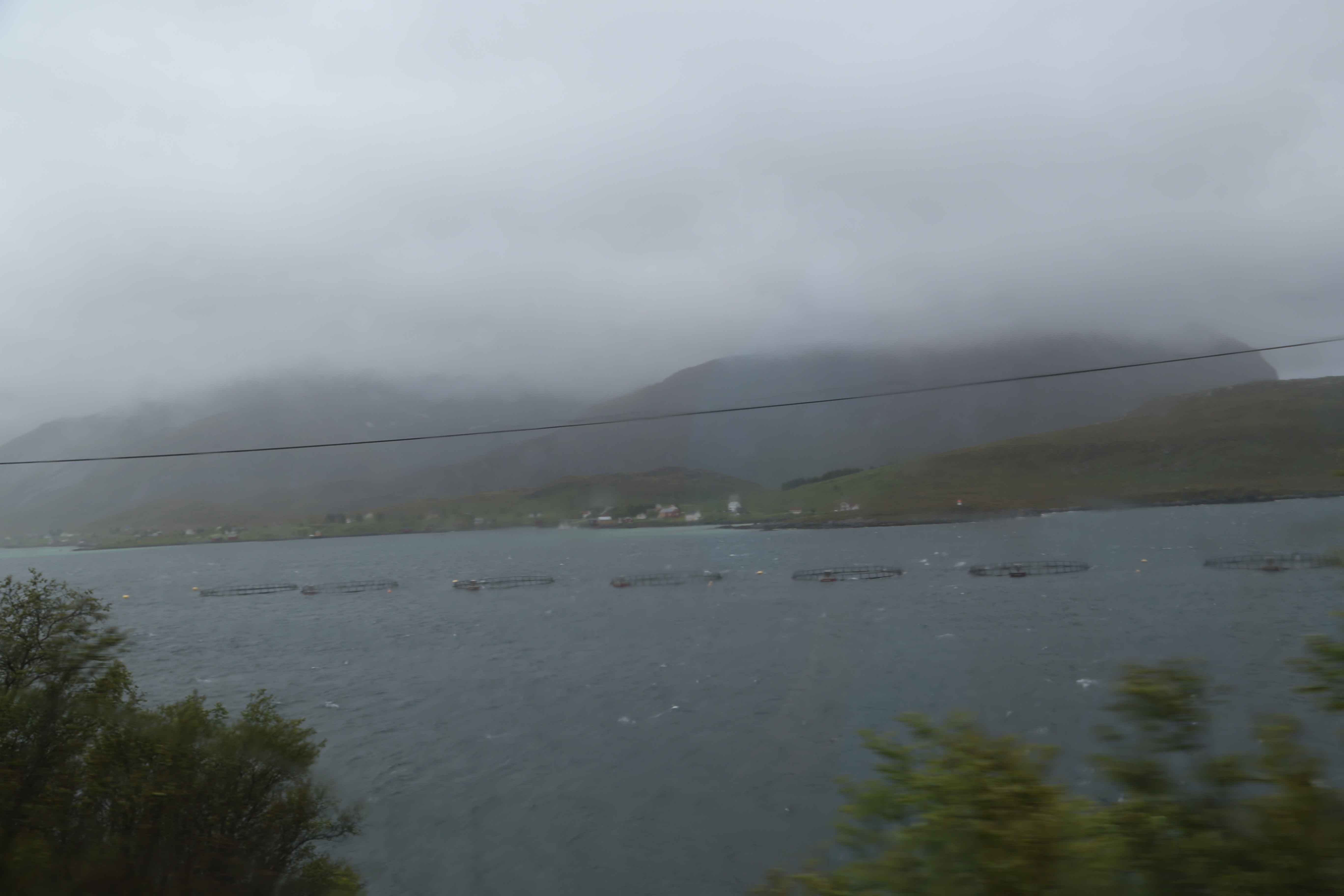 2014 Europe Trip Day 18 - Norway (Lofoten Islands: Sordal Tunnel (4 miles),  Sloverfjord Tunnel (2 miles), Chocolate Chip Rolls, Svolvaer, Lofoten Stockfish (Hanging Cod), Fishing Village Named Å, Snails, Fiskeburger (Fish Burger), Wild Reindeer) 